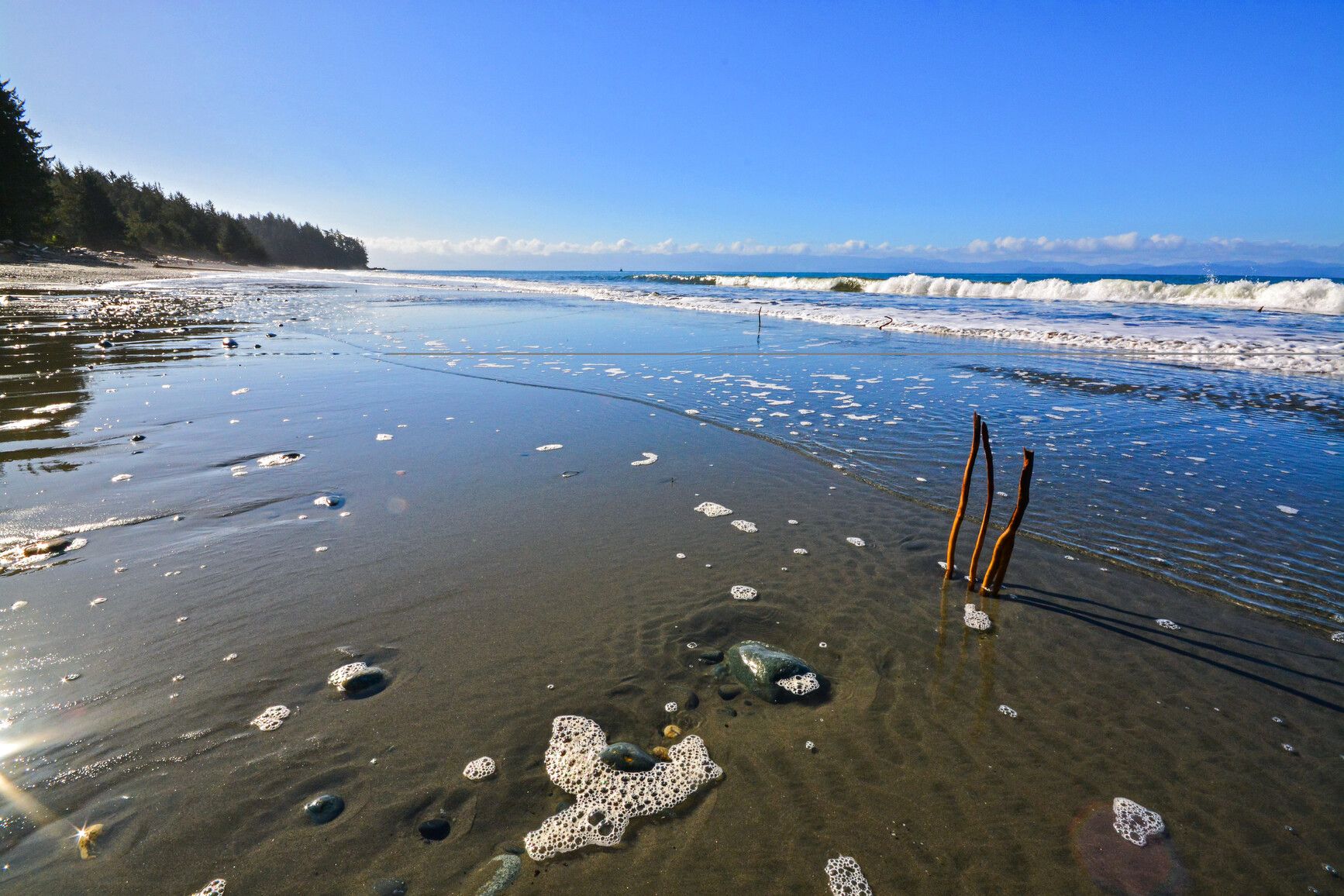 Photo: BC Parks. © Province of British Columbia, licensed under the Open Government Licence – British Columbia. French Beach Provincial Park, photo 4