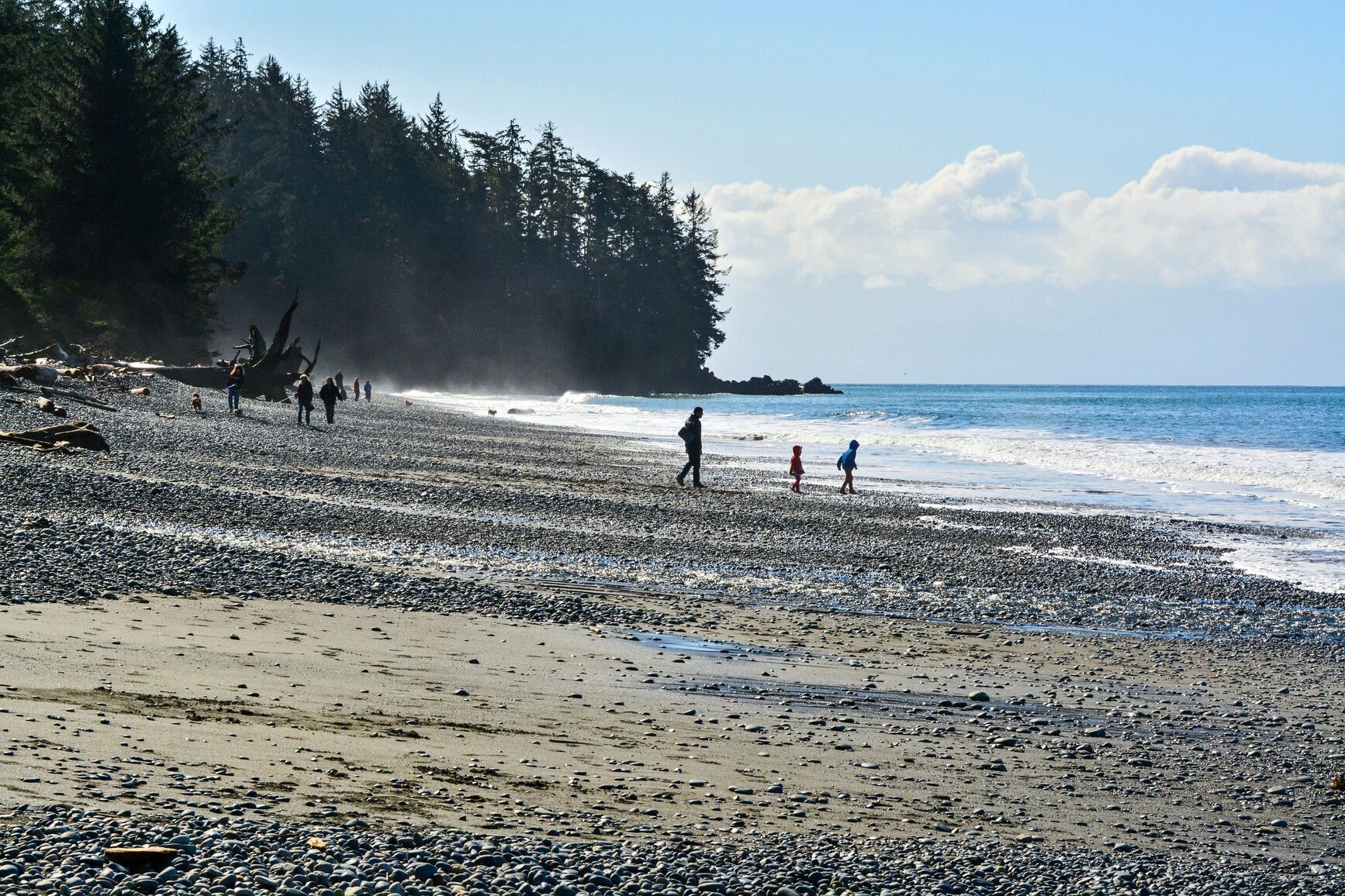 Photo: BC Parks. © Province of British Columbia, licensed under the Open Government Licence – British Columbia. French Beach Provincial Park, photo 10