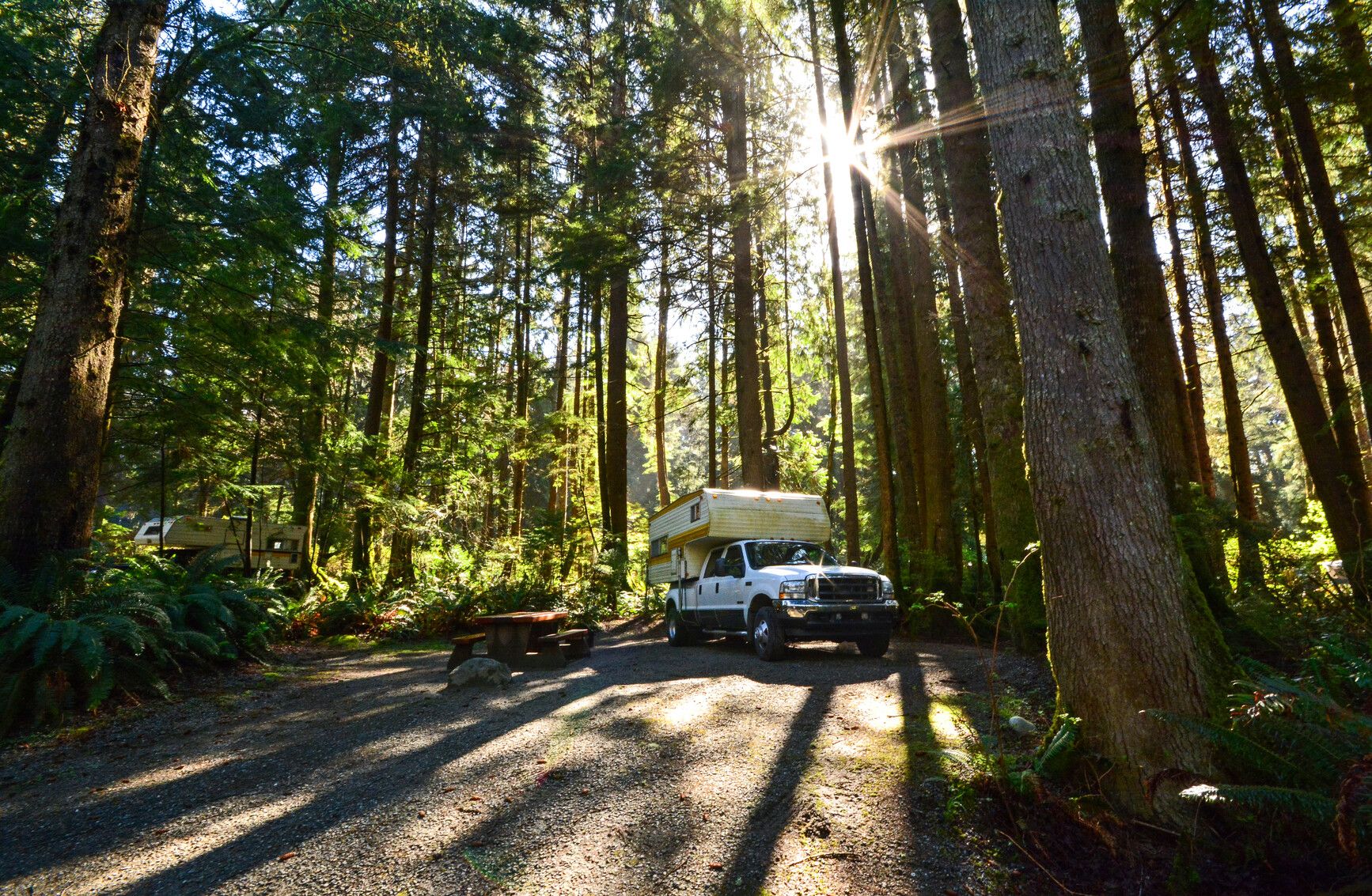 Photo: BC Parks. © Province of British Columbia, licensed under the Open Government Licence – British Columbia. French Beach Provincial Park, photo 3