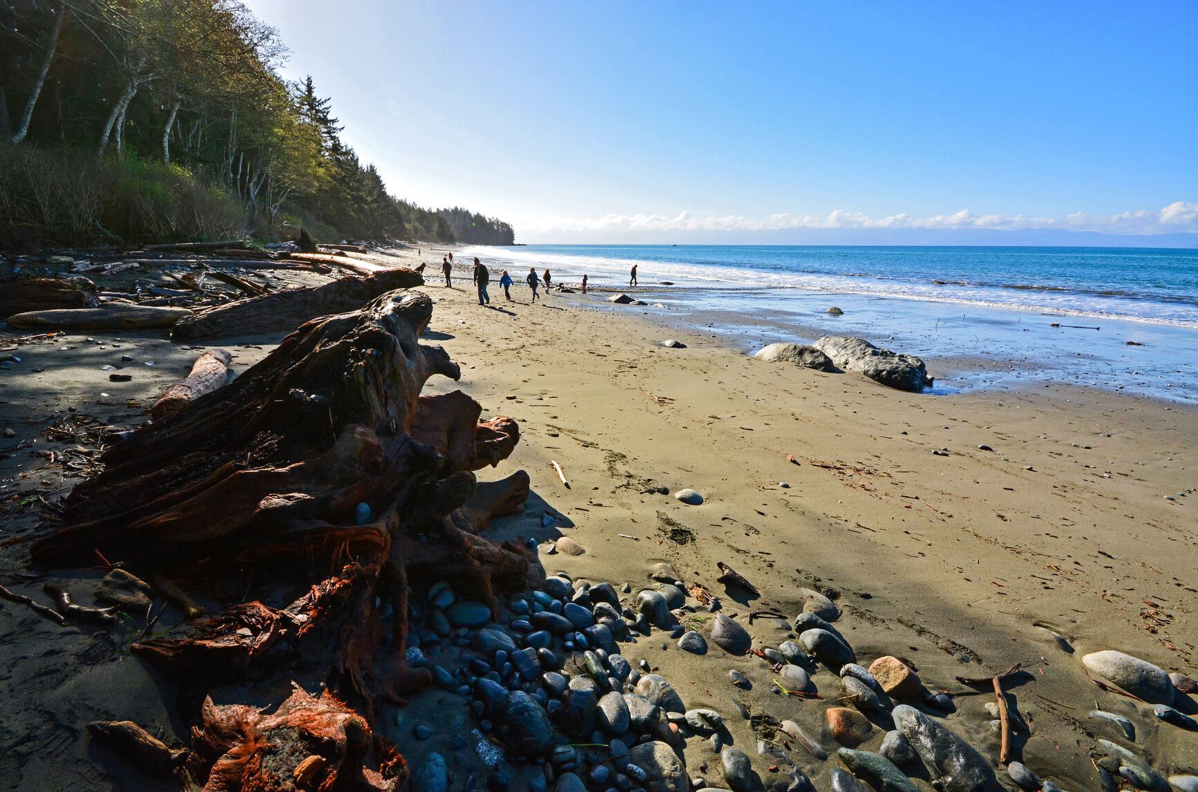 Photo: BC Parks. © Province of British Columbia, licensed under the Open Government Licence – British Columbia. French Beach Provincial Park, photo 5