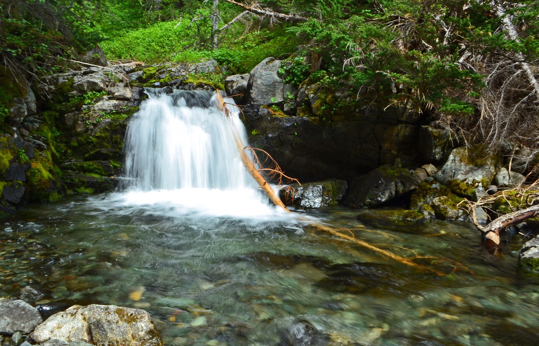 Photo: BC Parks. © Province of British Columbia, licensed under the Open Government Licence – British Columbia. Garibaldi Lake Campground, photo 4