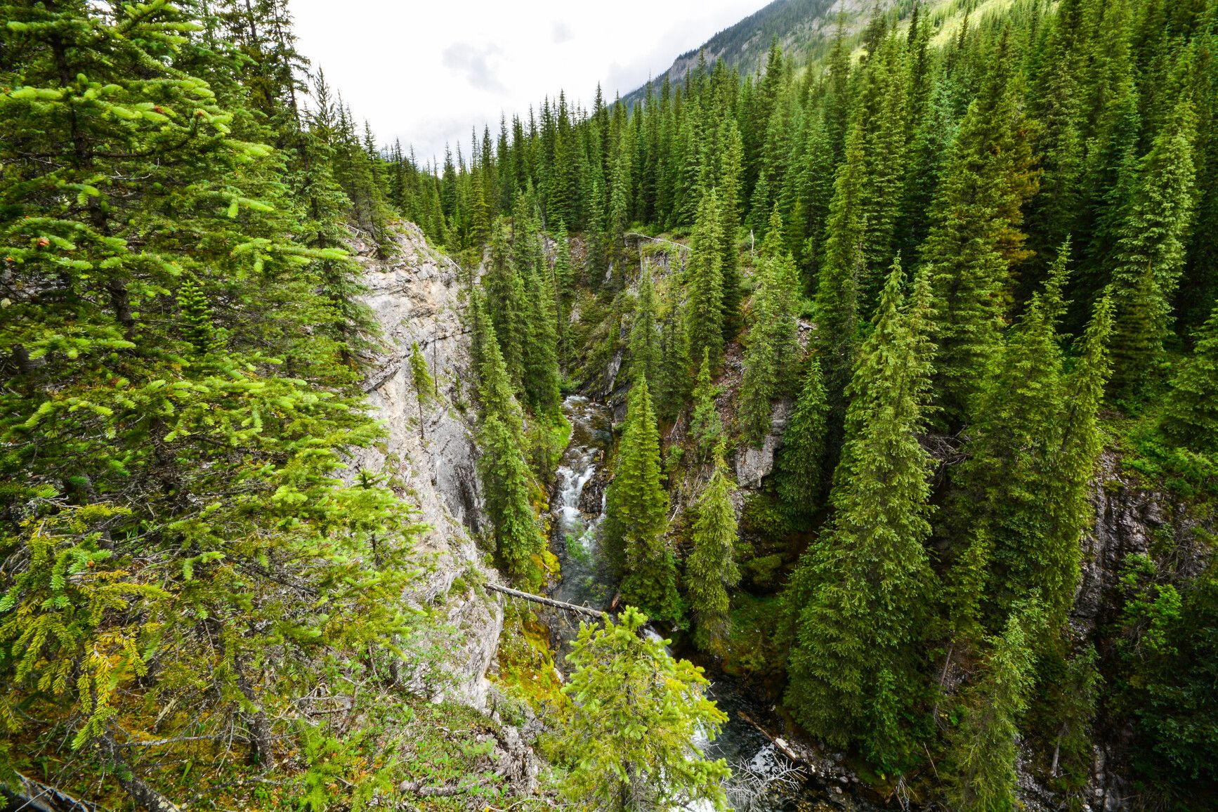 Height of the Rockies Provincial Park