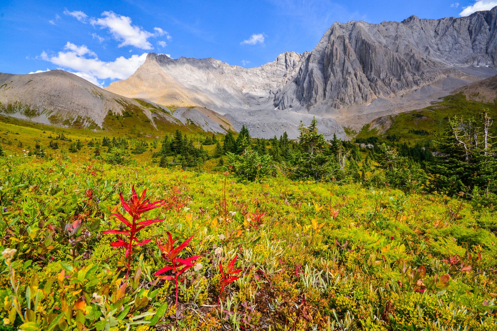 Height of the Rockies Park