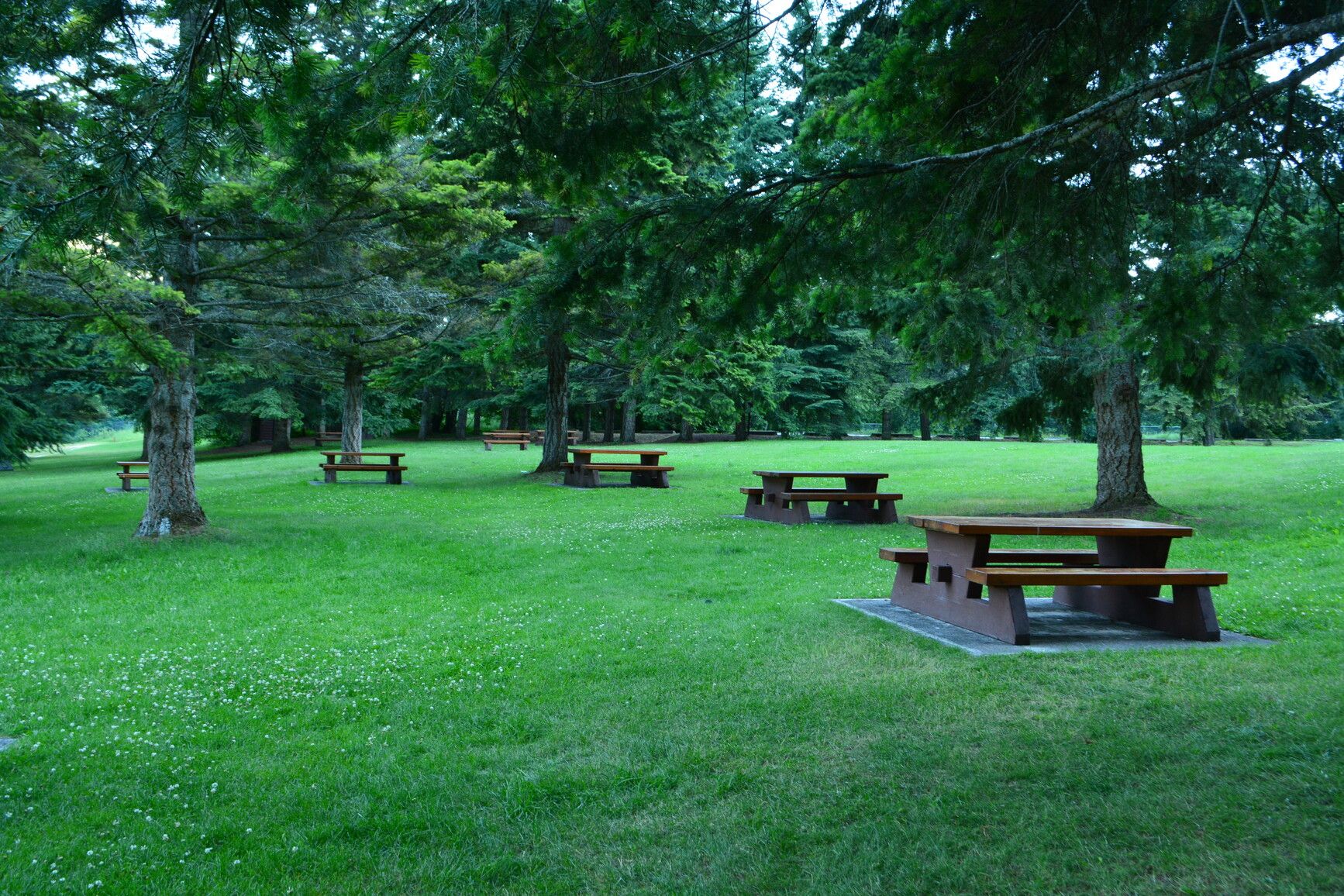 Herald Park day-use picnic area.