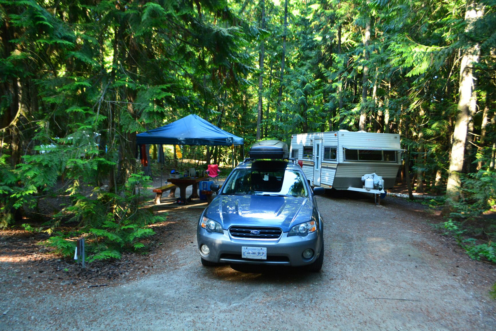 A forested campsite in Herald Park.