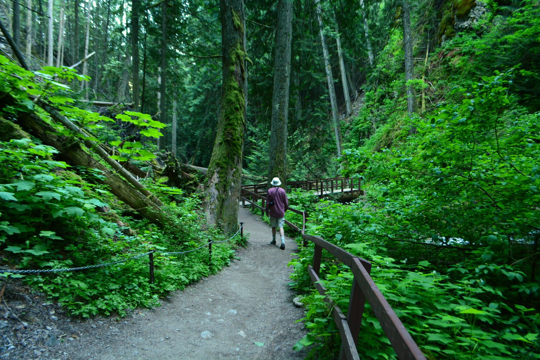 A visitor hiking a trail beside Reinecker Creek in Herald Park.