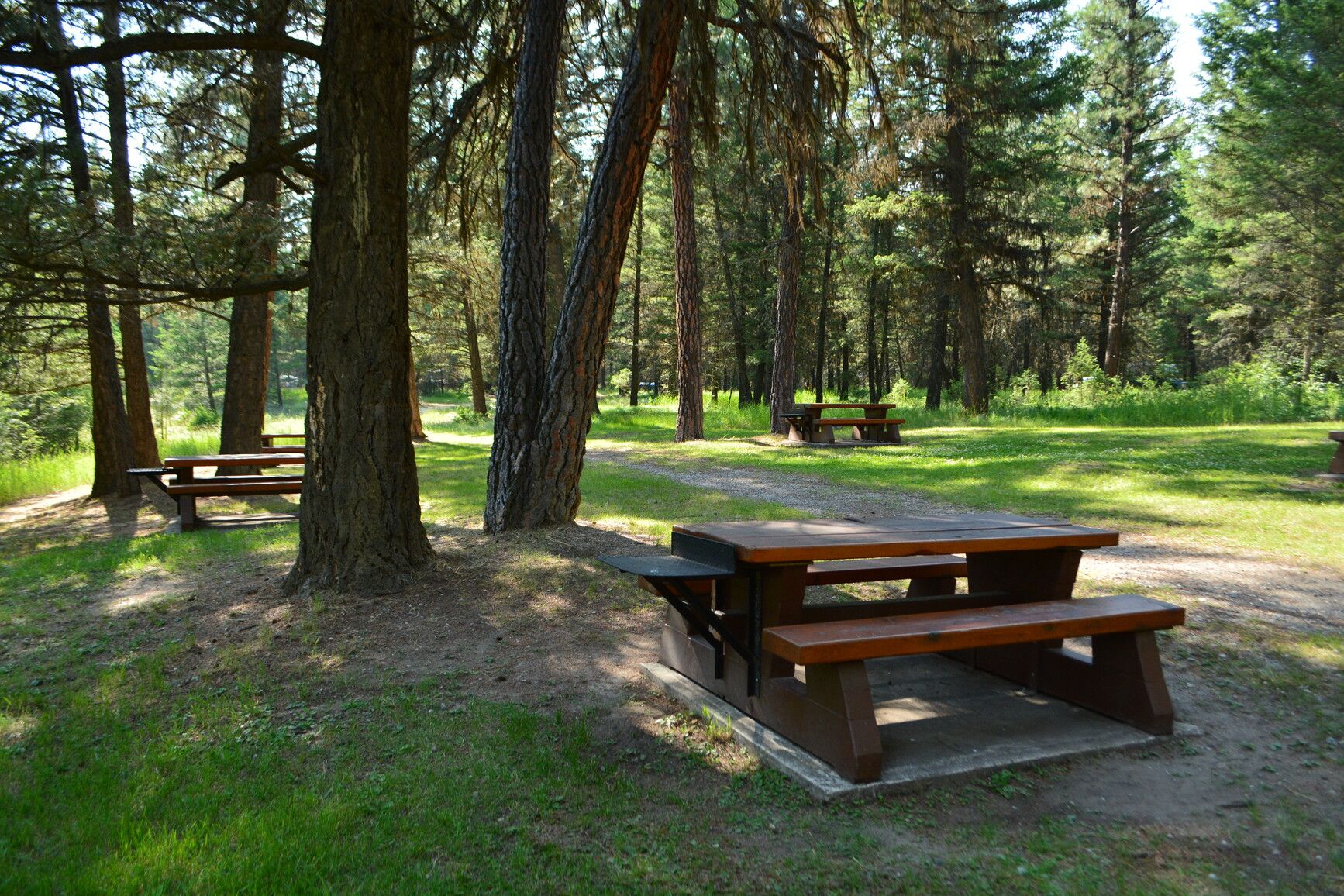 Relax in the shaded day-use area of Kikomun Creek Park, offering plenty of picnic tables for get togethers.