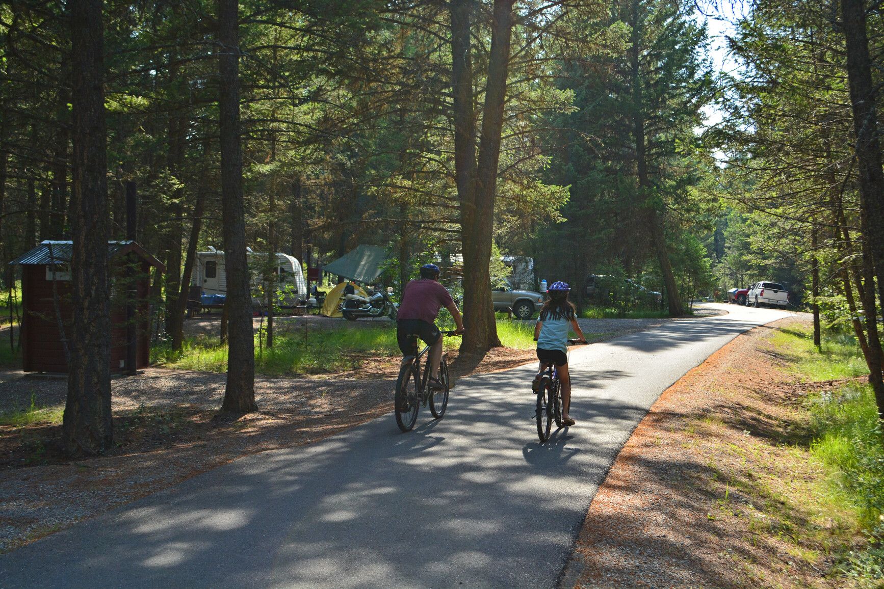 Discover the tranquility of Kikomun Creek Park's forested campground, where visitors can leisurely ride bikes along the paved road.