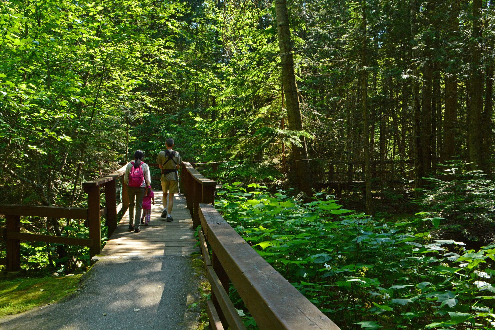Family hiking a boardwalk trail through Kokanee Creek Park's forest.