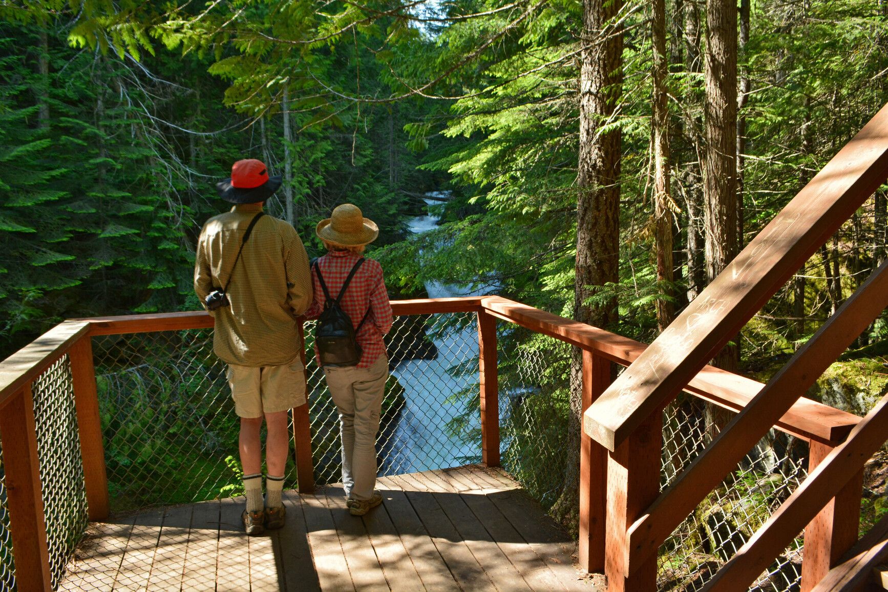 Taking in the serene beauty of Kokanee Creek from a scenic viewing platform along the trail.