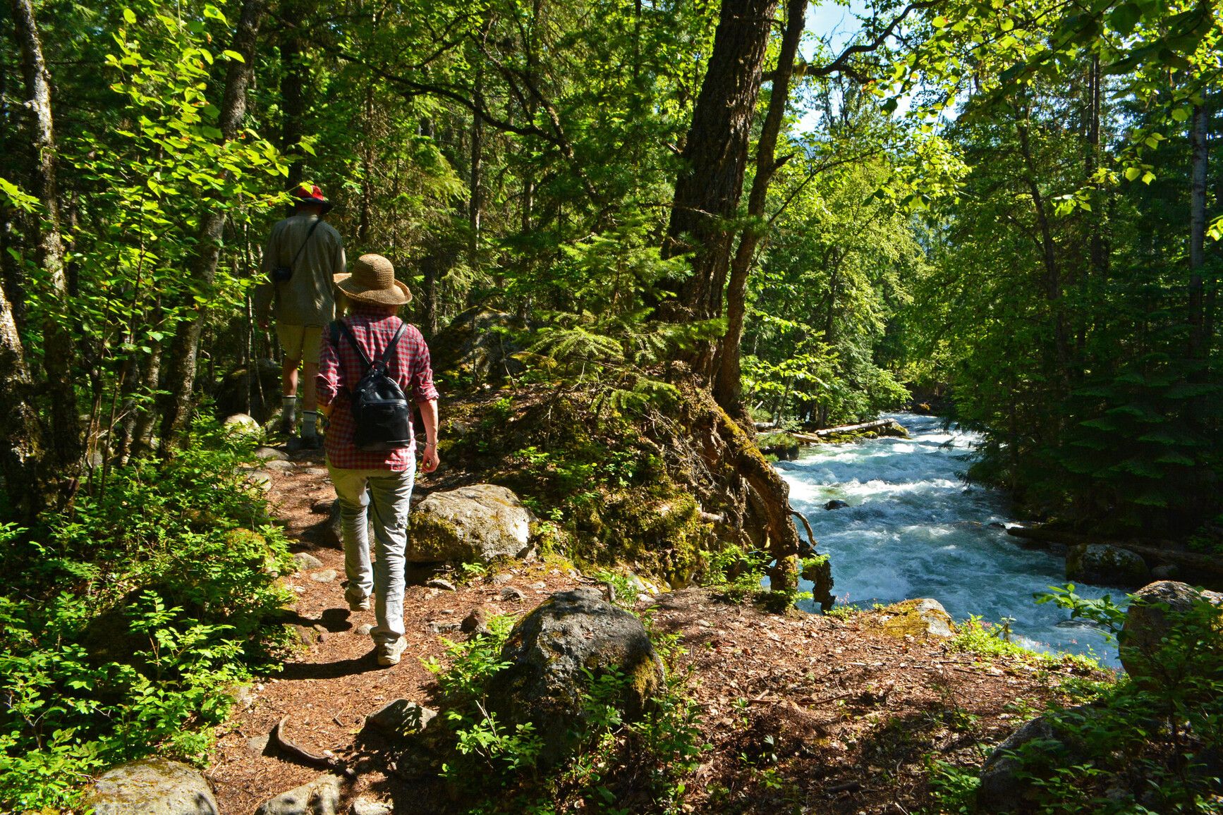 Immerse yourself in the serene sound of Kokanee Creek flowing through the forest as you hike a trail in the park.