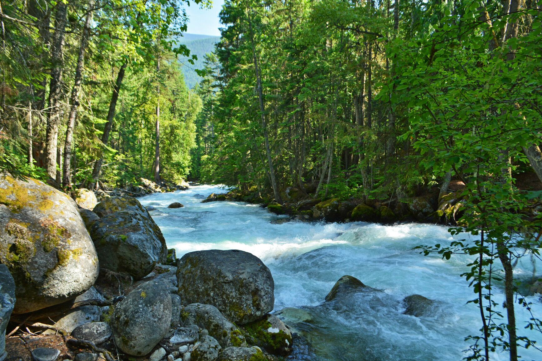 Experience the mesmerizing rush of Kokanee Creek, as its powerful currents flow through the lush forest.&nbsp;
