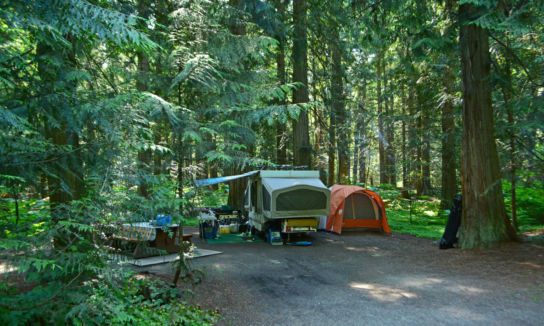 Escape to nature with spacious campsites nestled amidst the towering trees of Kokanee Creek Park.