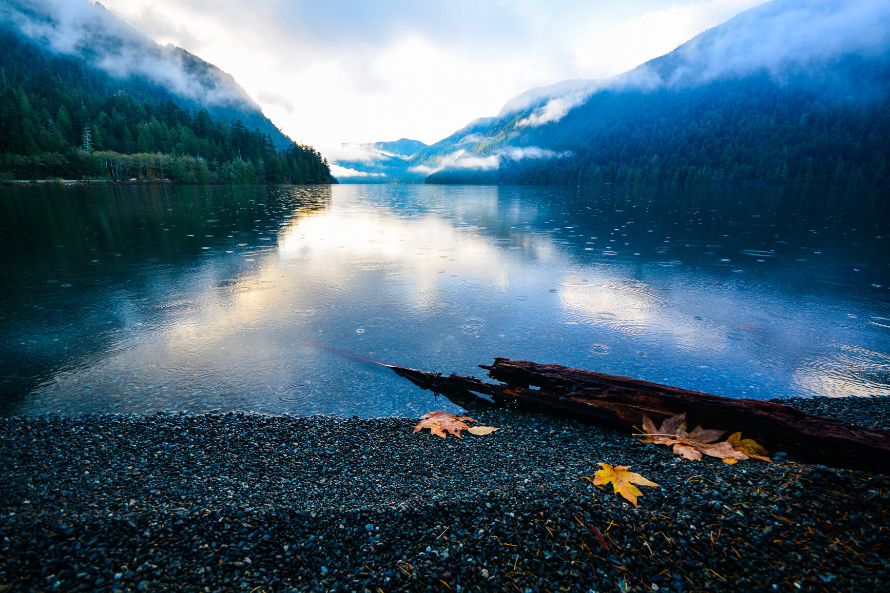 View of lake and mountains. Rings from rain drops can be seen in the lake. Fallen maple leaves and log in foreground on the beach.