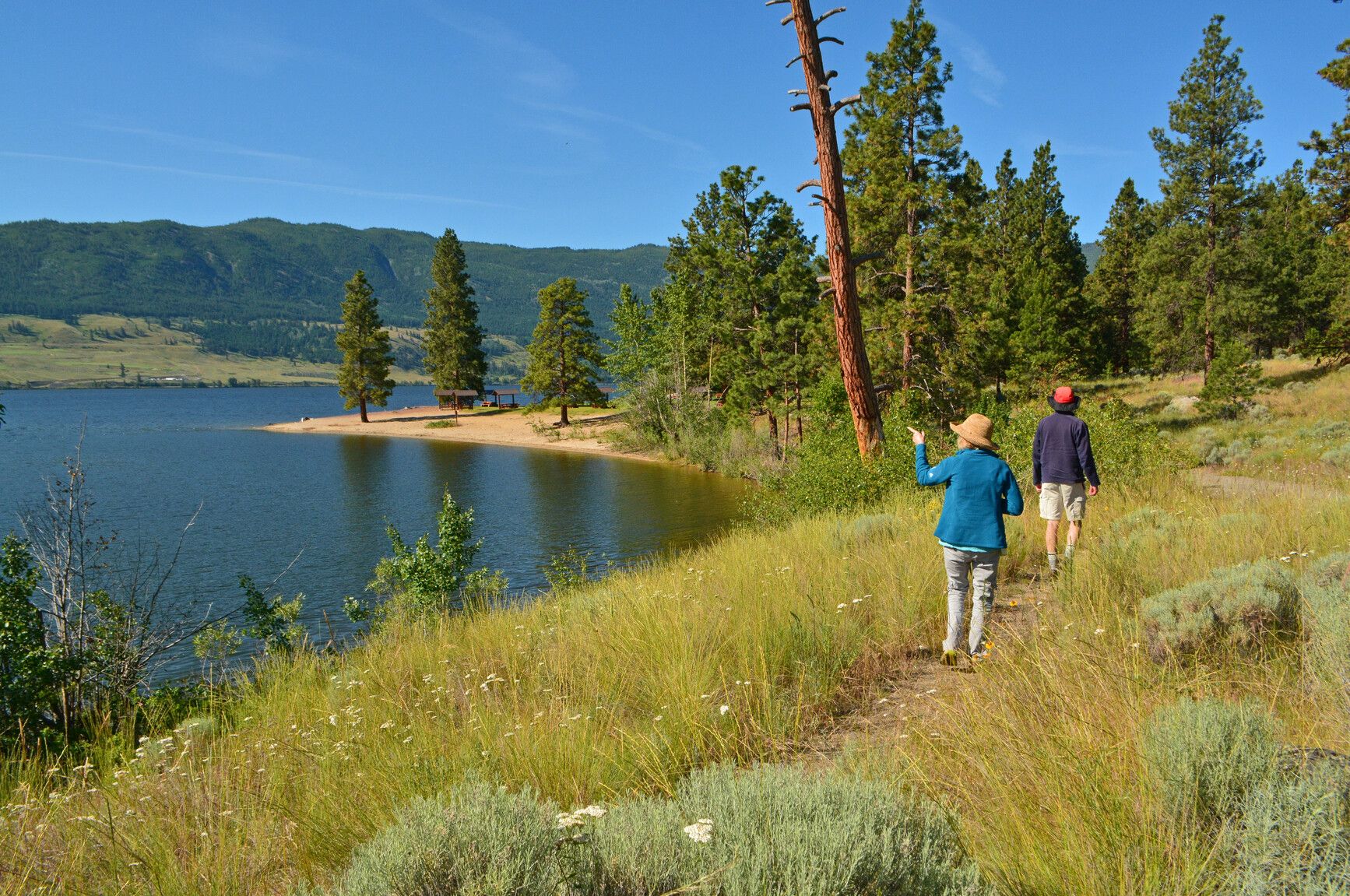 Experience the beauty of Nicola Lake as you stroll along a lakeside trail at Monck Park.