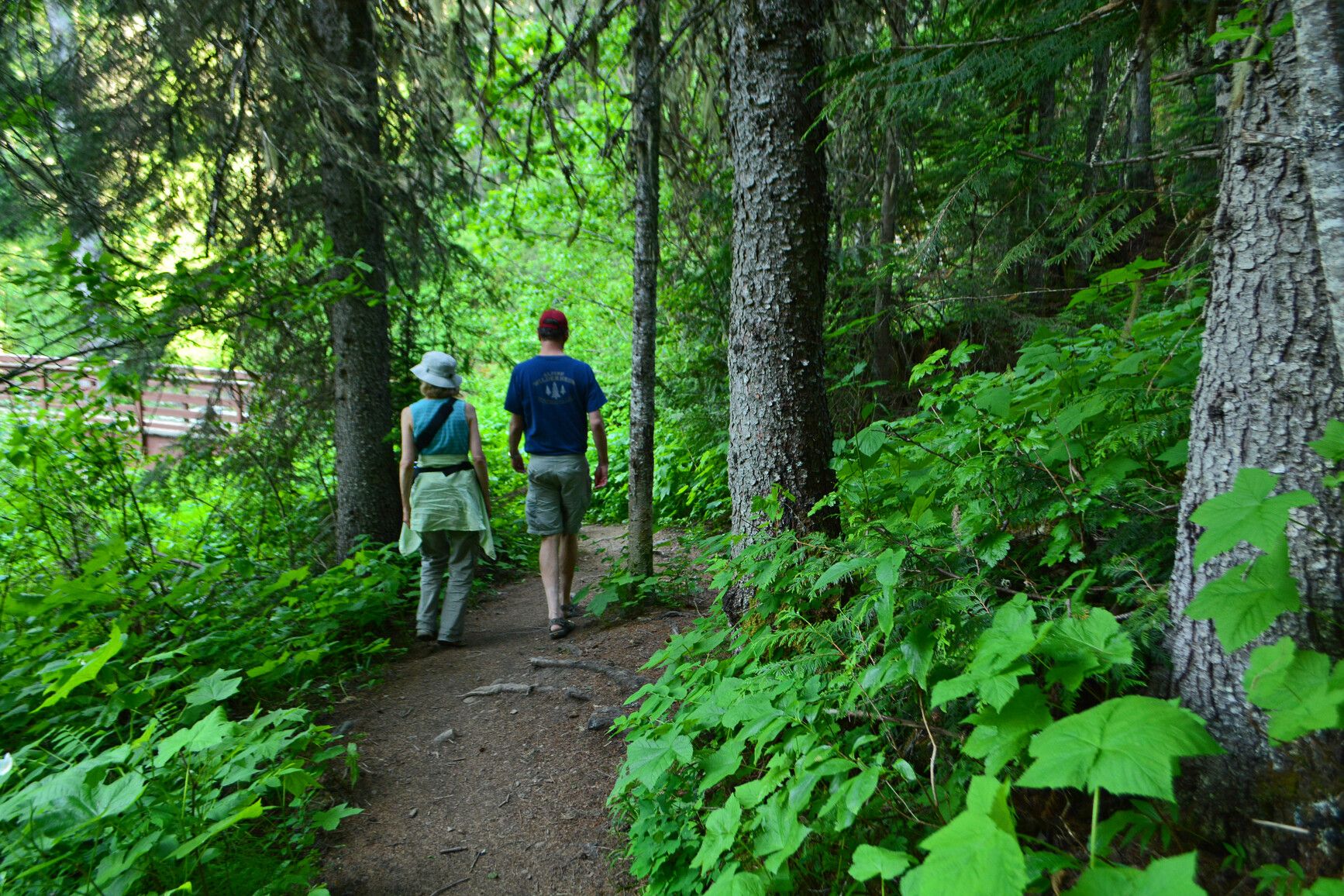 Connect with nature while hiking the trails in Mount Fernie Park.