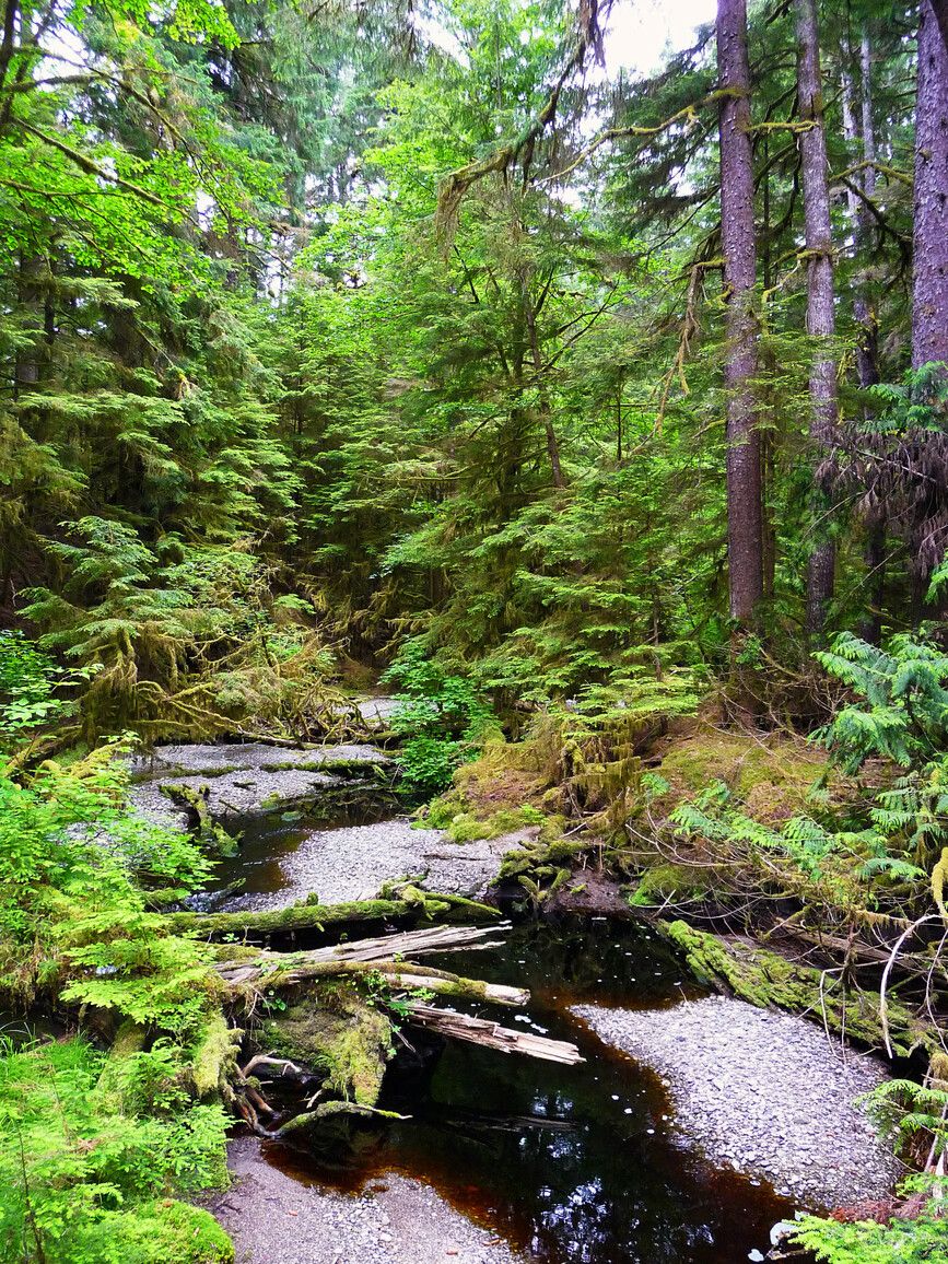 Naikoon Provincial Park