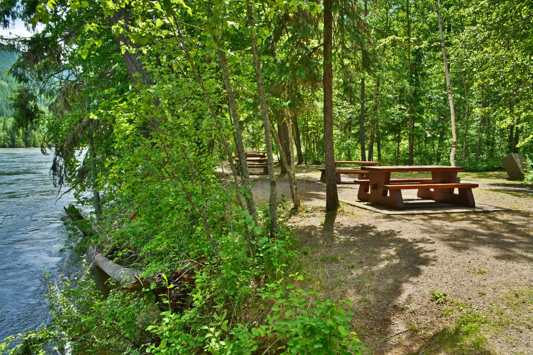 Day-use area by the river in Thompson River Park, surrounded by forest.