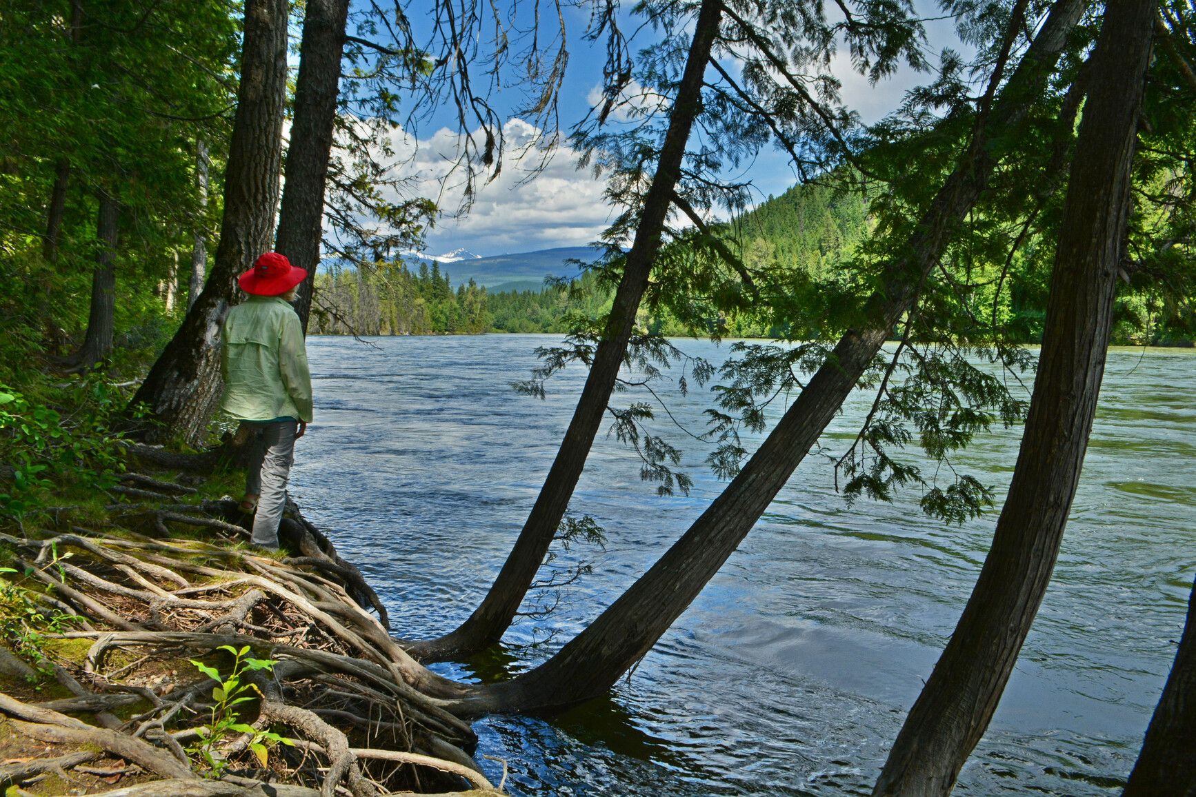 The fast-flowing waters of the North Thompson river in spring.