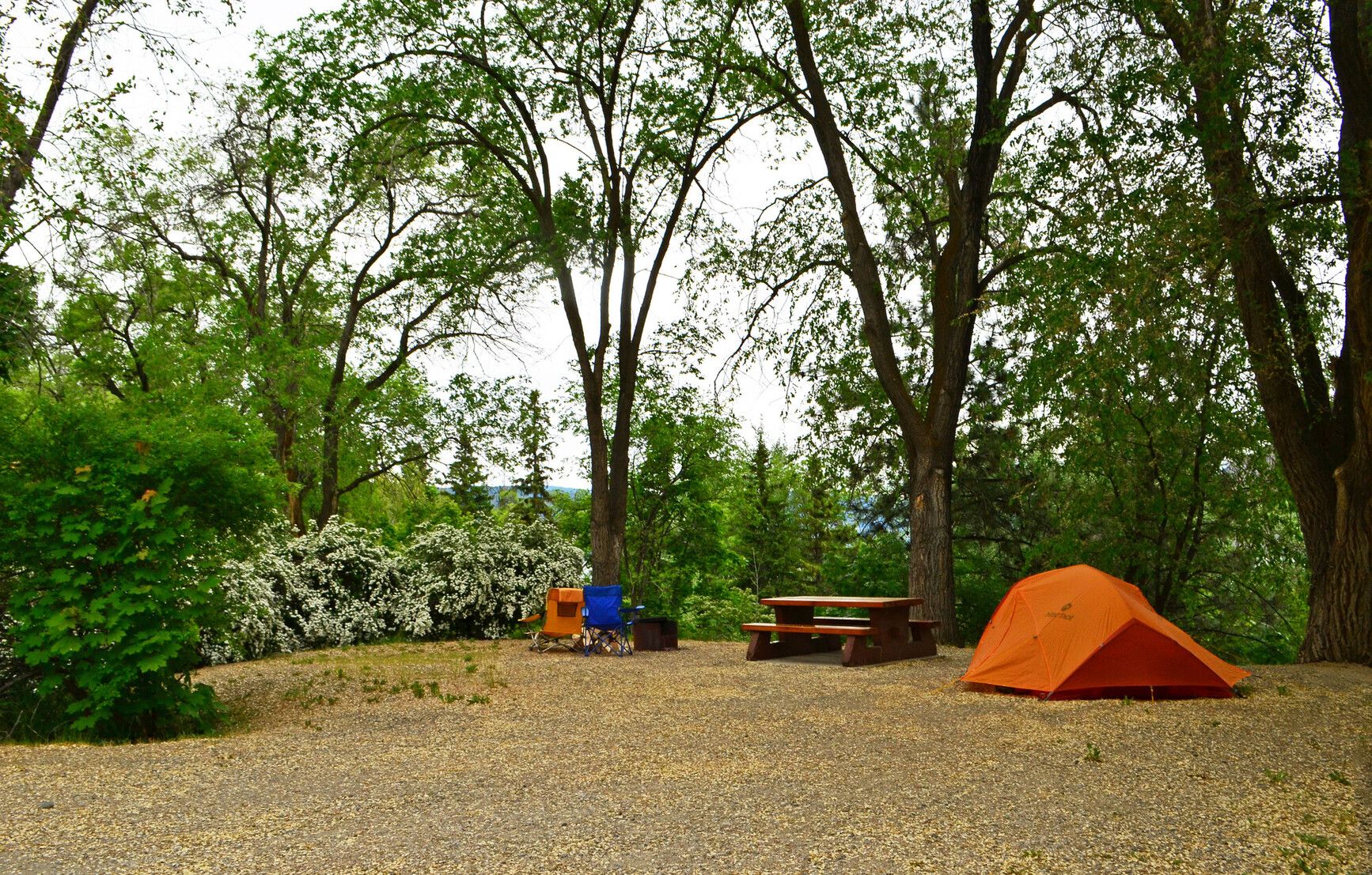Okanagan Lake Park offers spacious, level sites perfect for pitching a tent or parking an RV. Enjoy the comfort of shaded areas provided by the surrounding trees on hot summer days.