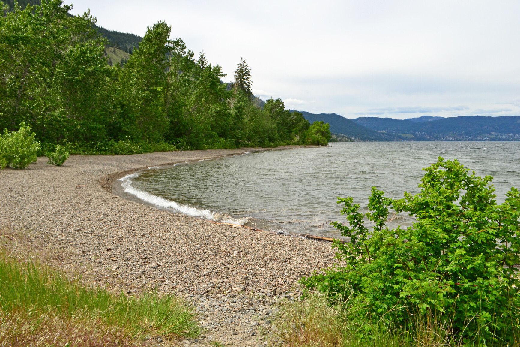Forest-covered mountains around a beach in Okanagan Lake Park.