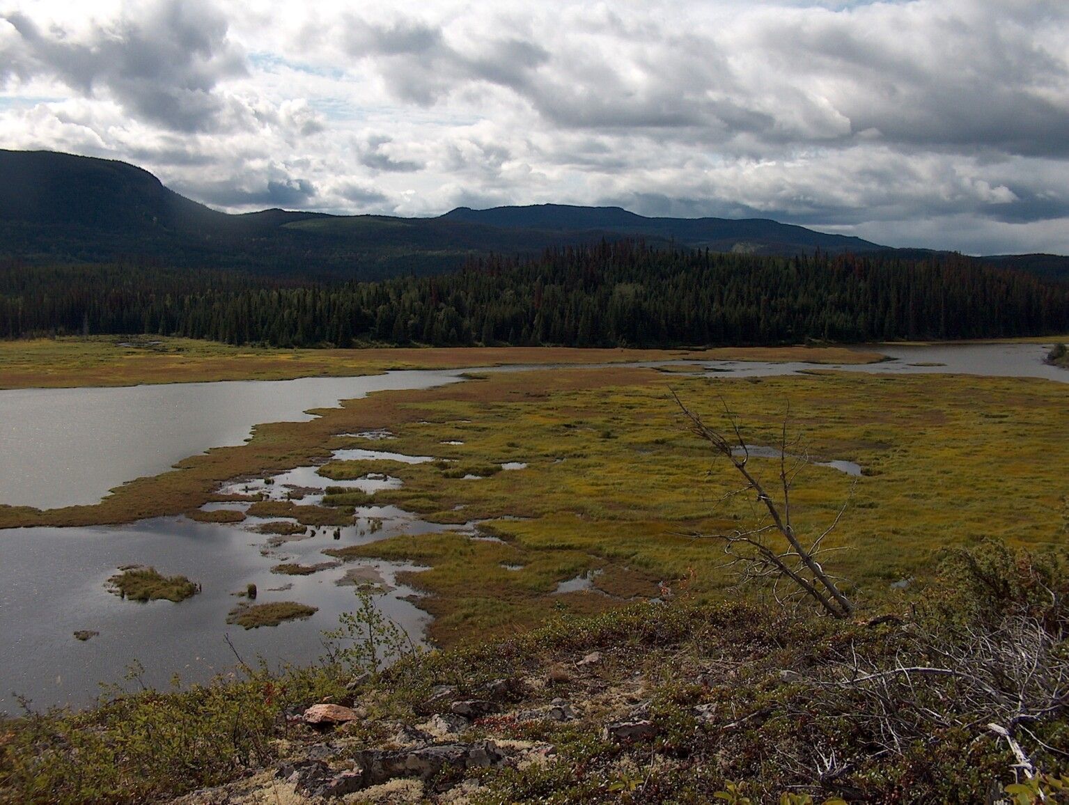 Wetland area at the West end of Old Man Lake.