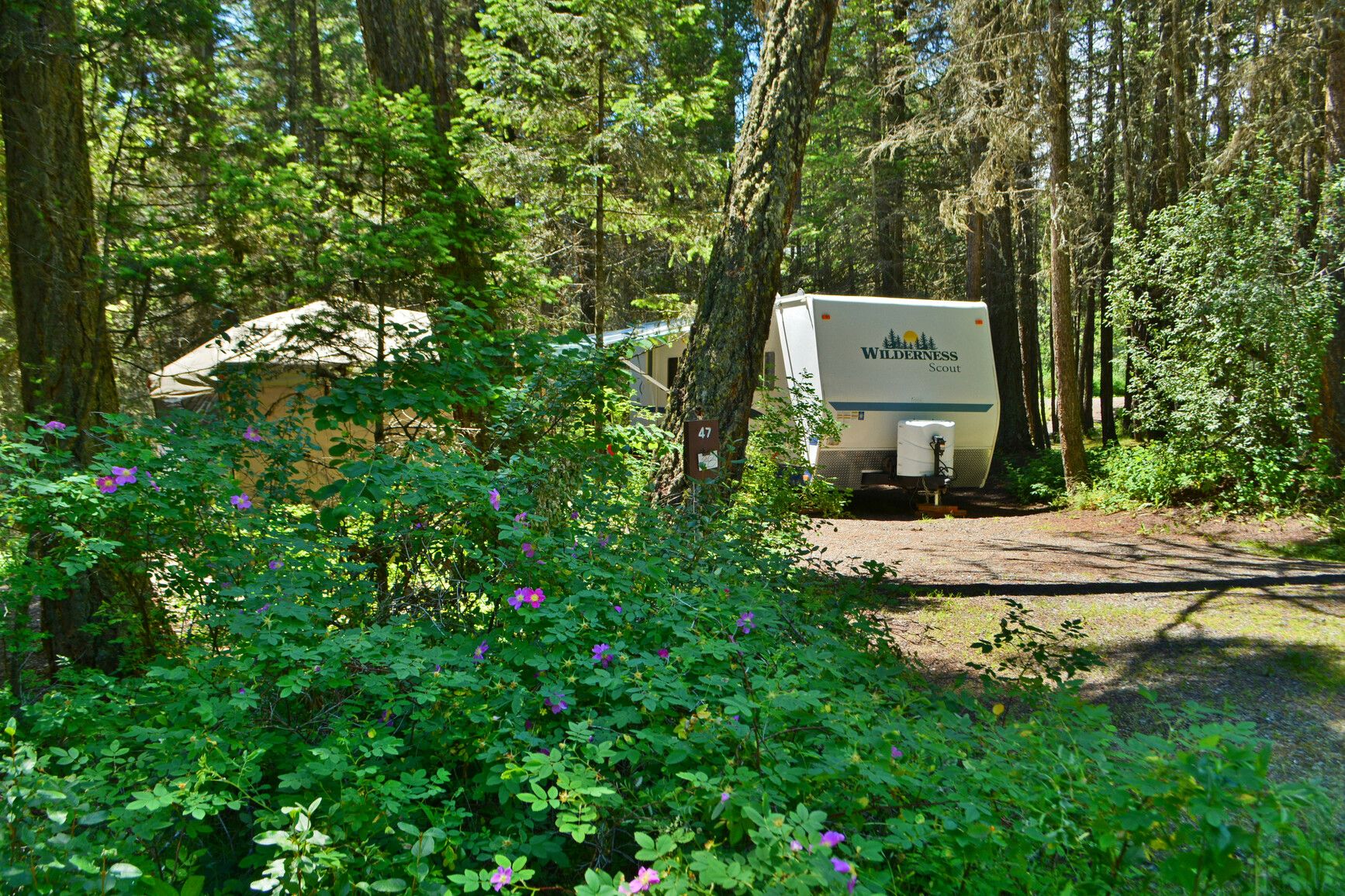 Paul Lake Park offers large sites, perfect for RVs and family fun.