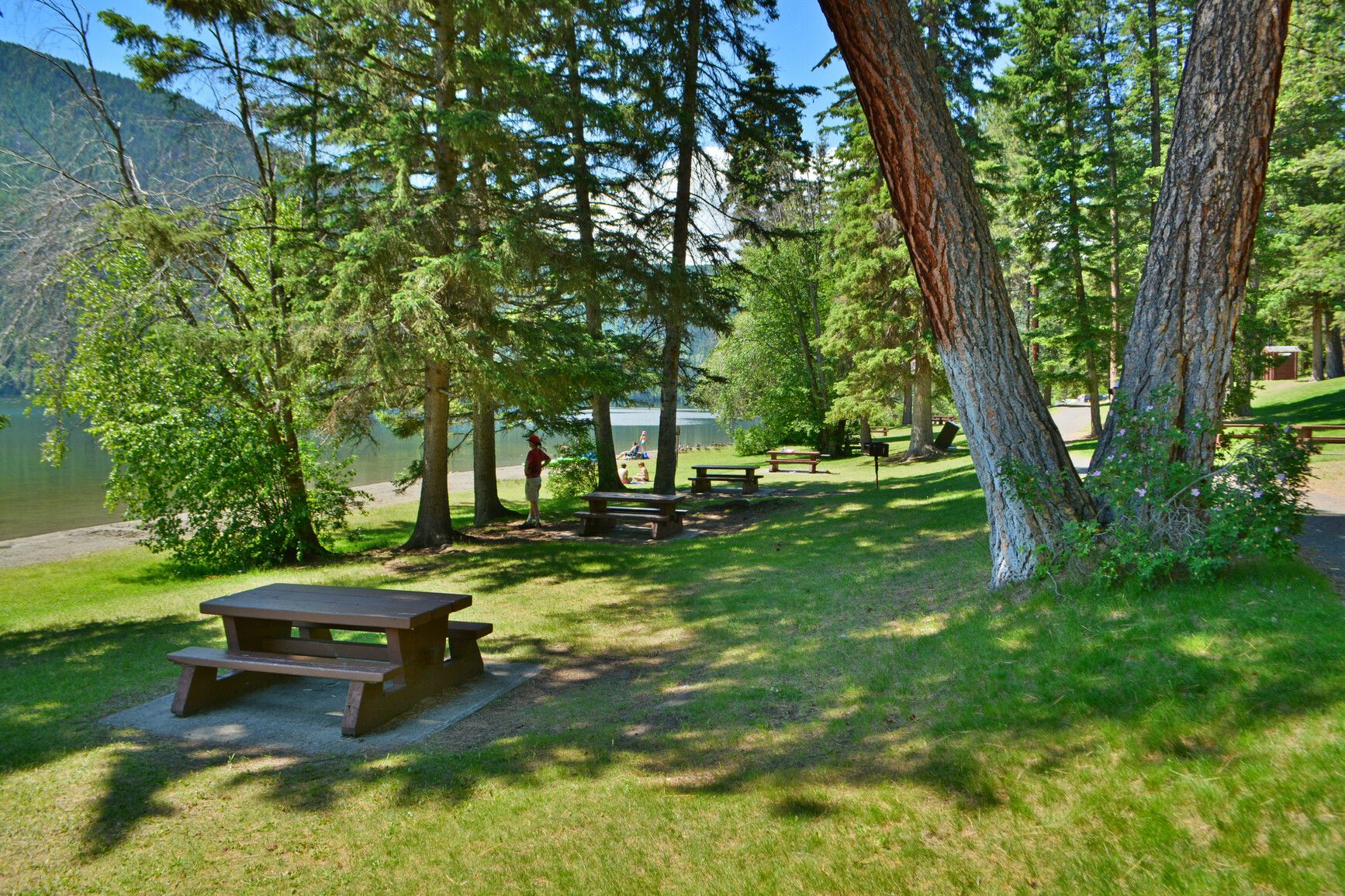 Day-use picnic and beach area at Paul Lake Park, with large shade trees providing coverage from the sun on hot days.