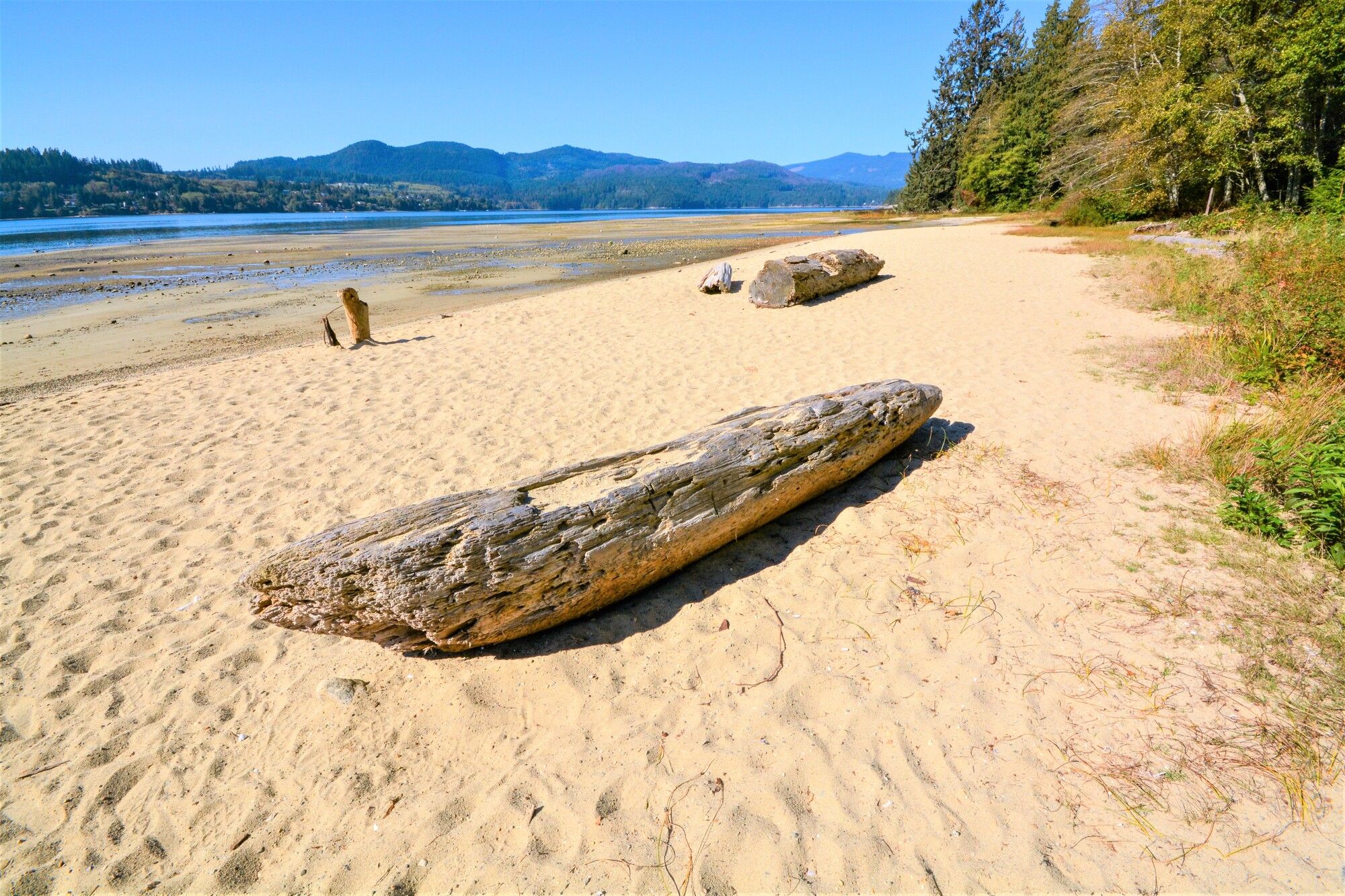 Porpoise Bay Provincial Campground