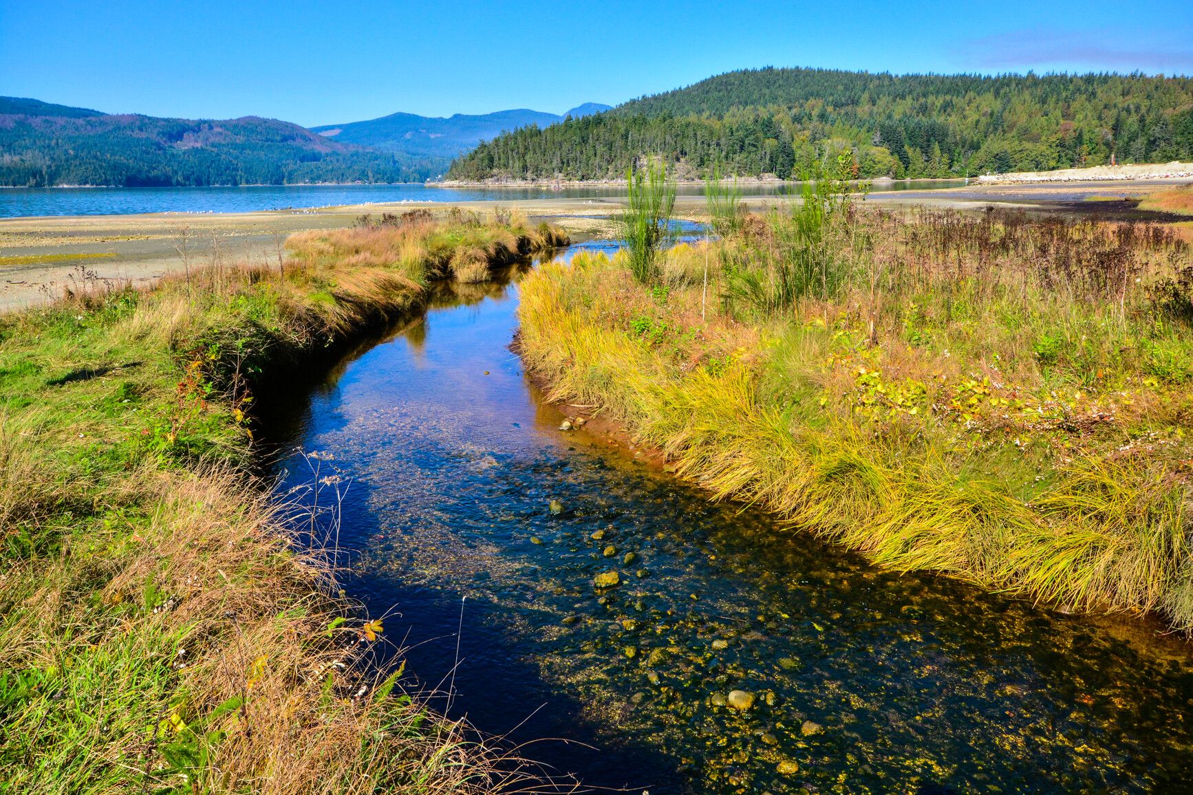 A creek flows toward the bay in Porpoise Bay Park.
