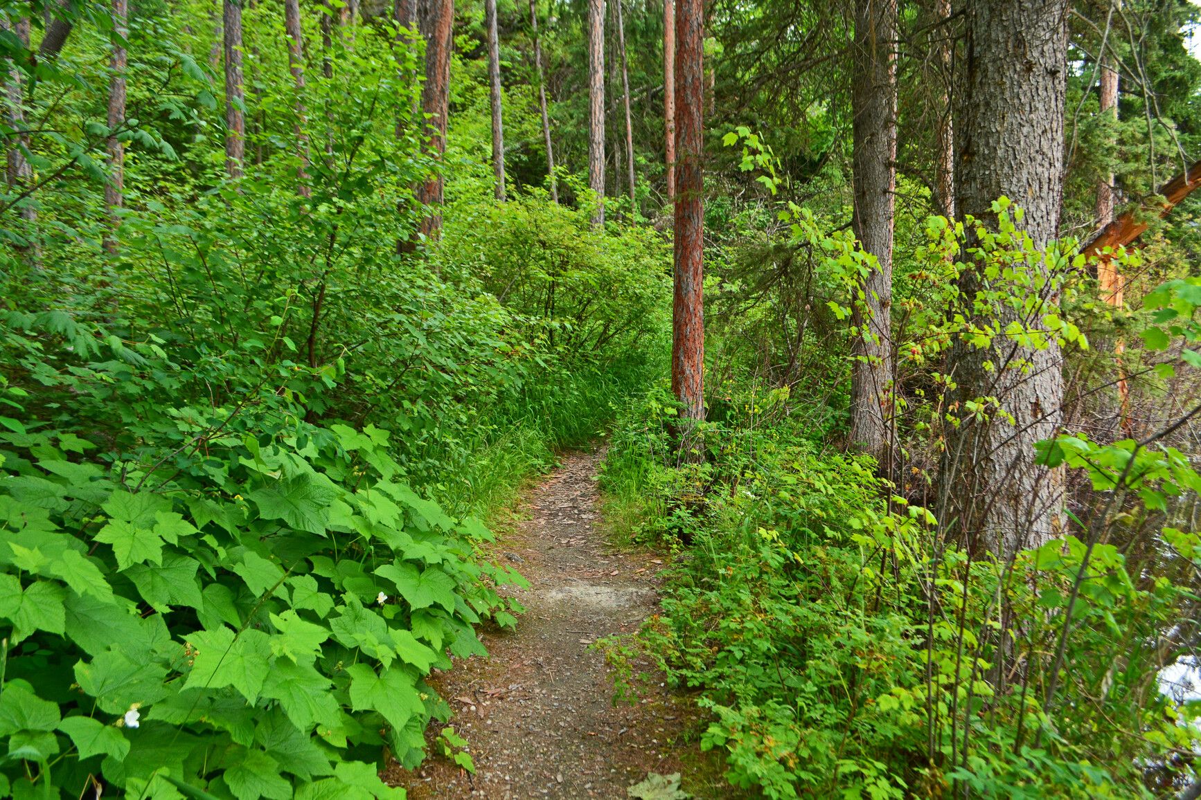 Premier Lake Park