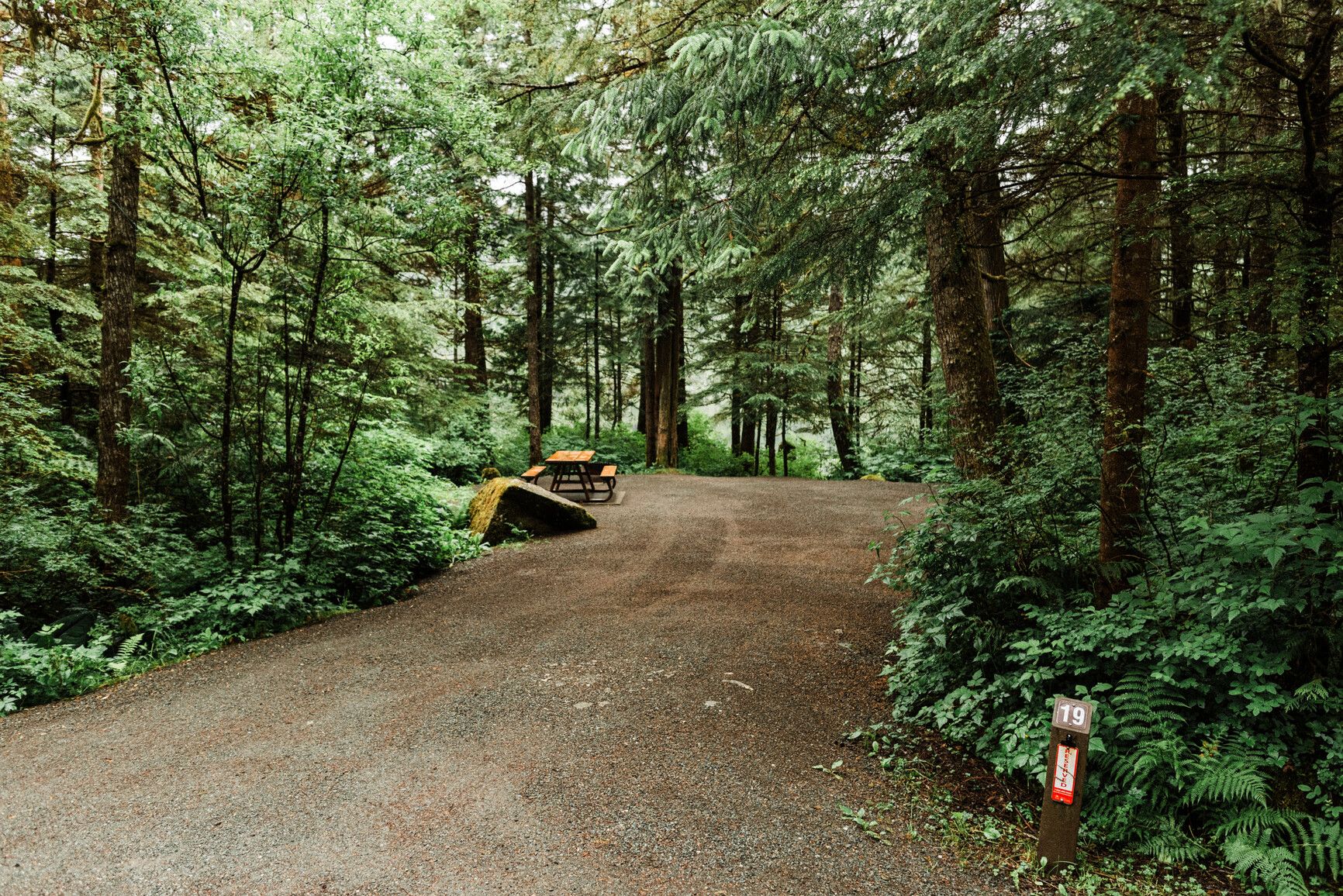 Photo: BC Parks. © Province of British Columbia, licensed under the Open Government Licence – British Columbia. Forested and tranquil campsites at Prudhomme Lake Park.