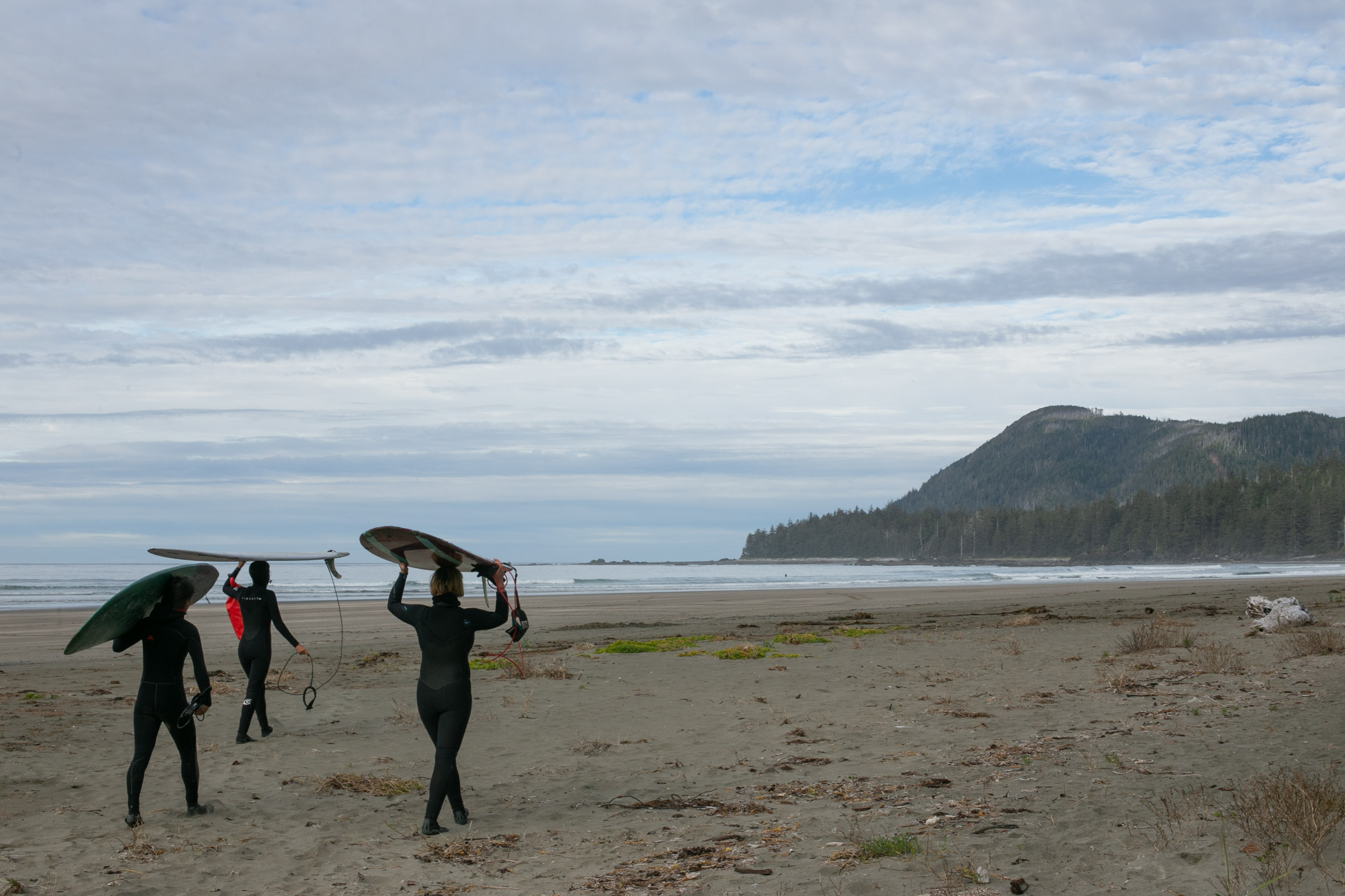 Three surfers are geared up and walking towards the ocean with their boards. In the misty distance you can view the mountains and forest.
