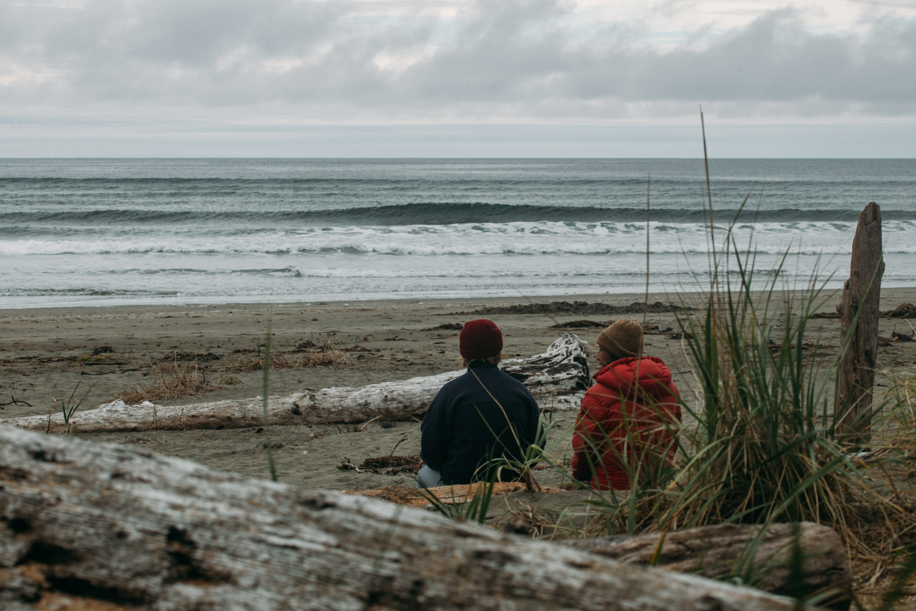 Two beach visitors are sitting on the logs watching the waves crash.