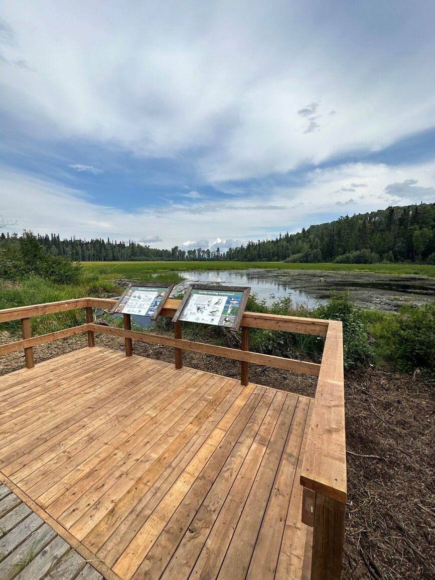 Newly constructed viewing platform overlooking the wetland in Red Bluff Park.
