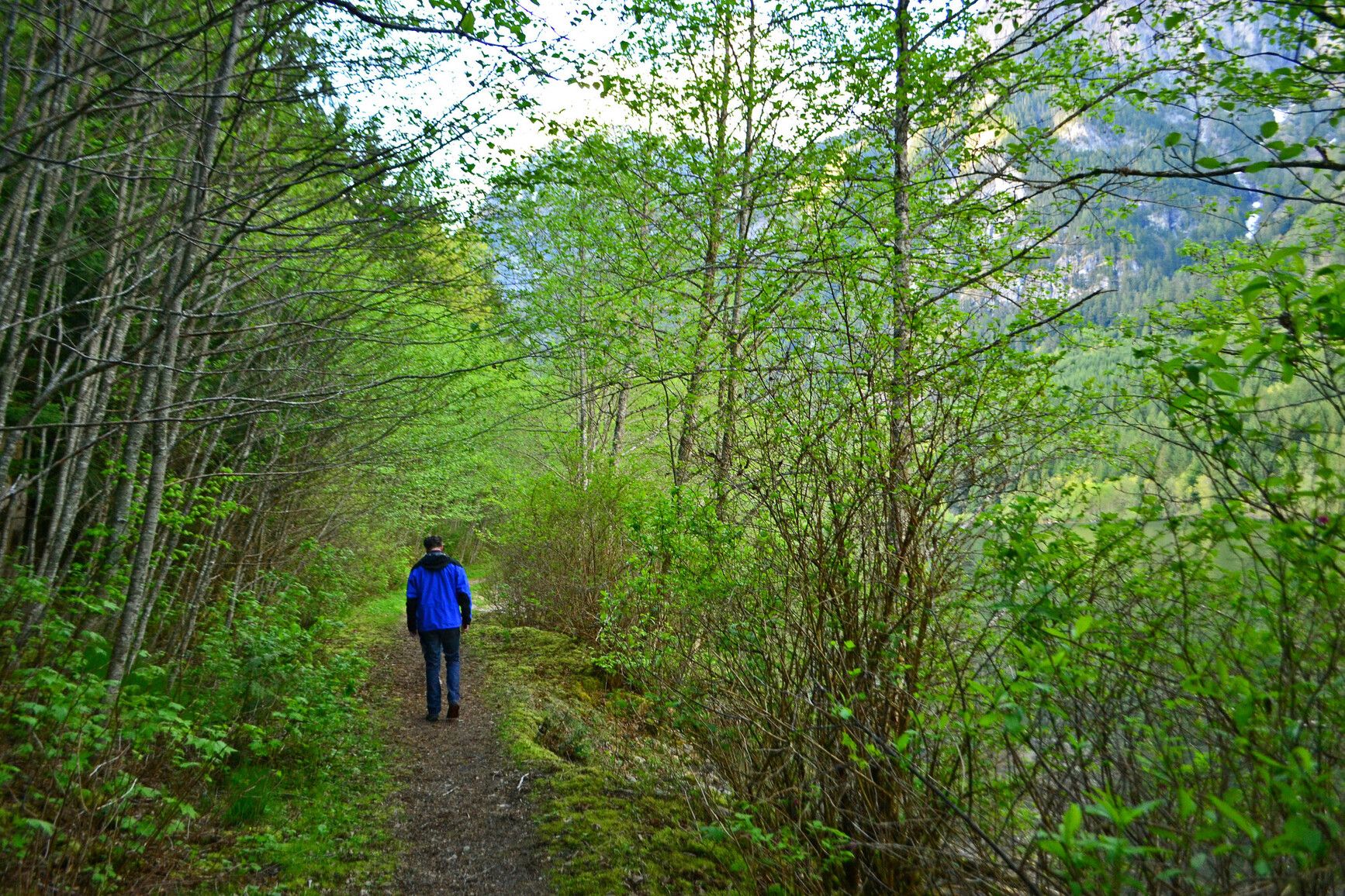 A hiker waking a trail along Silver Lake.