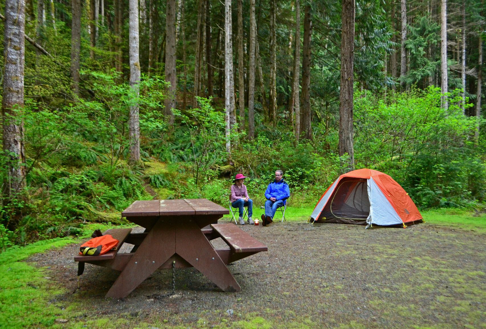 Photo: BC Parks. © Province of British Columbia, licensed under the Open Government Licence – British Columbia. Silver Beach Provincial Park, photo 10