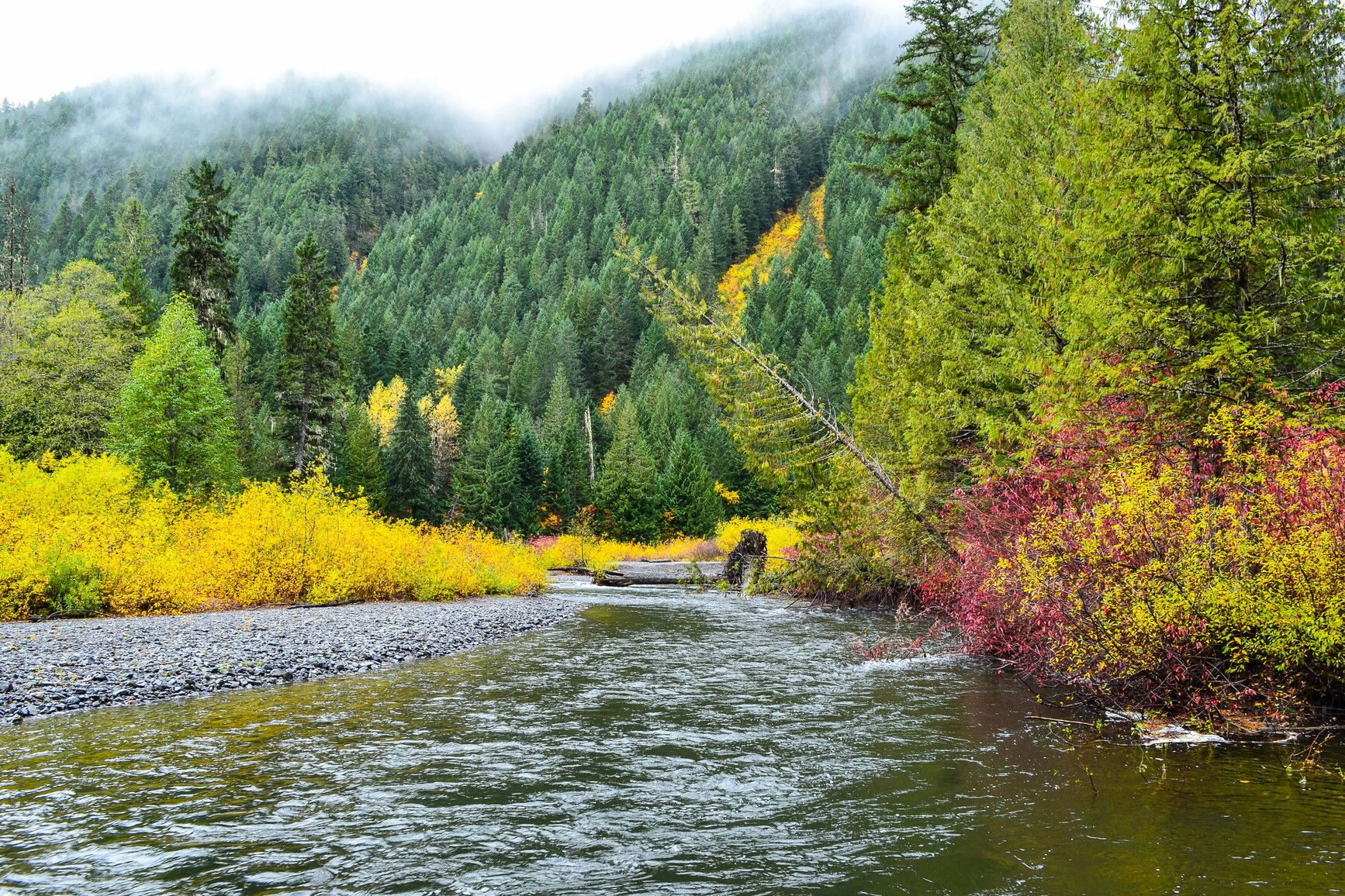 Skagit Valley Provincial Park, photo 4