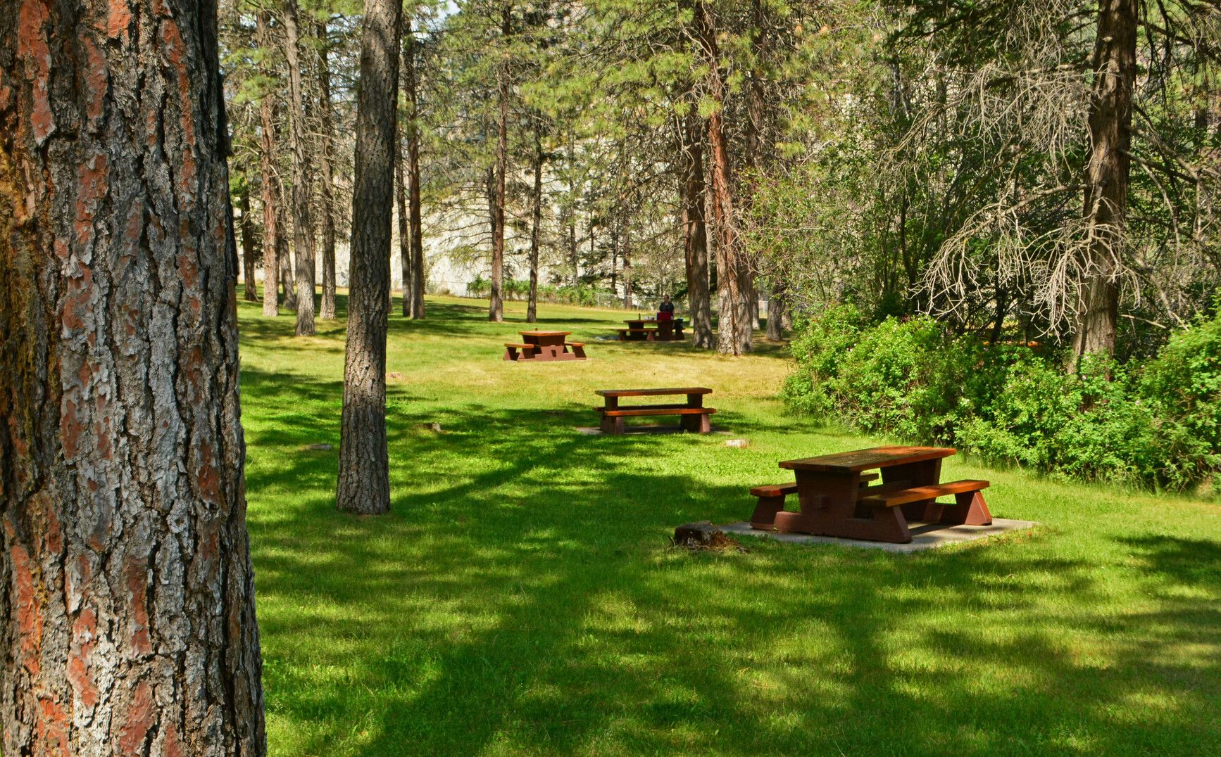 Picnic tables in the day-use area of Skihist Park.