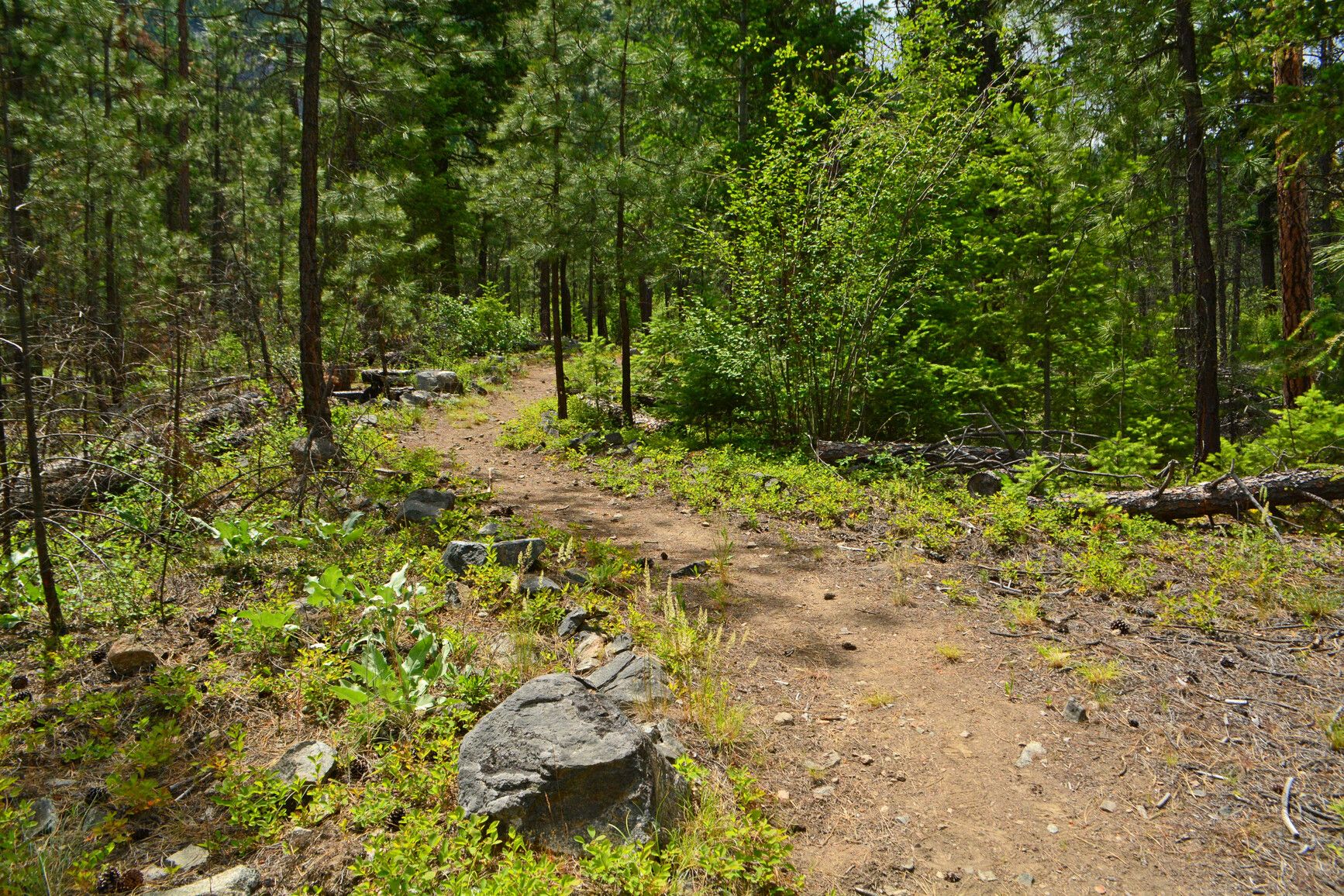 Skihist Park