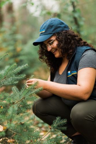 An Ecological Reserve Warden wearing a BC Parks hat and vest smiling and observing a small coniferous tree