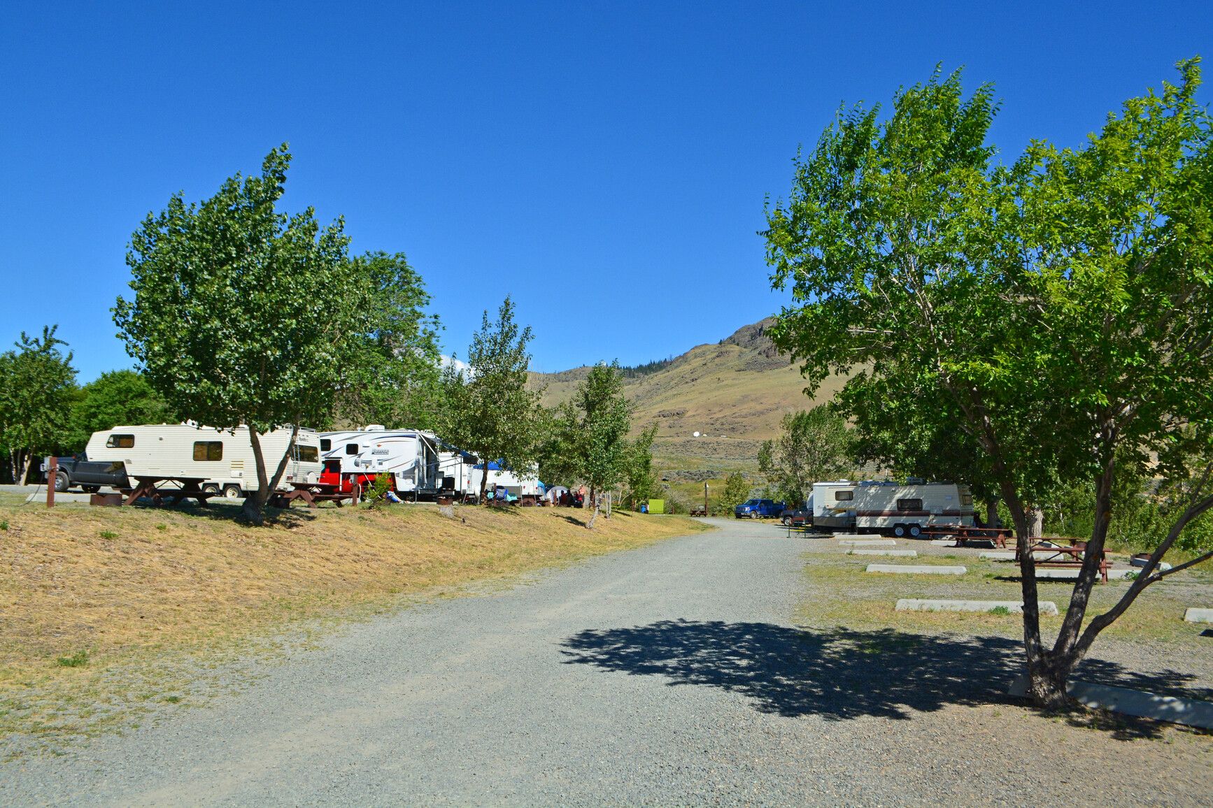 Steelhead Park