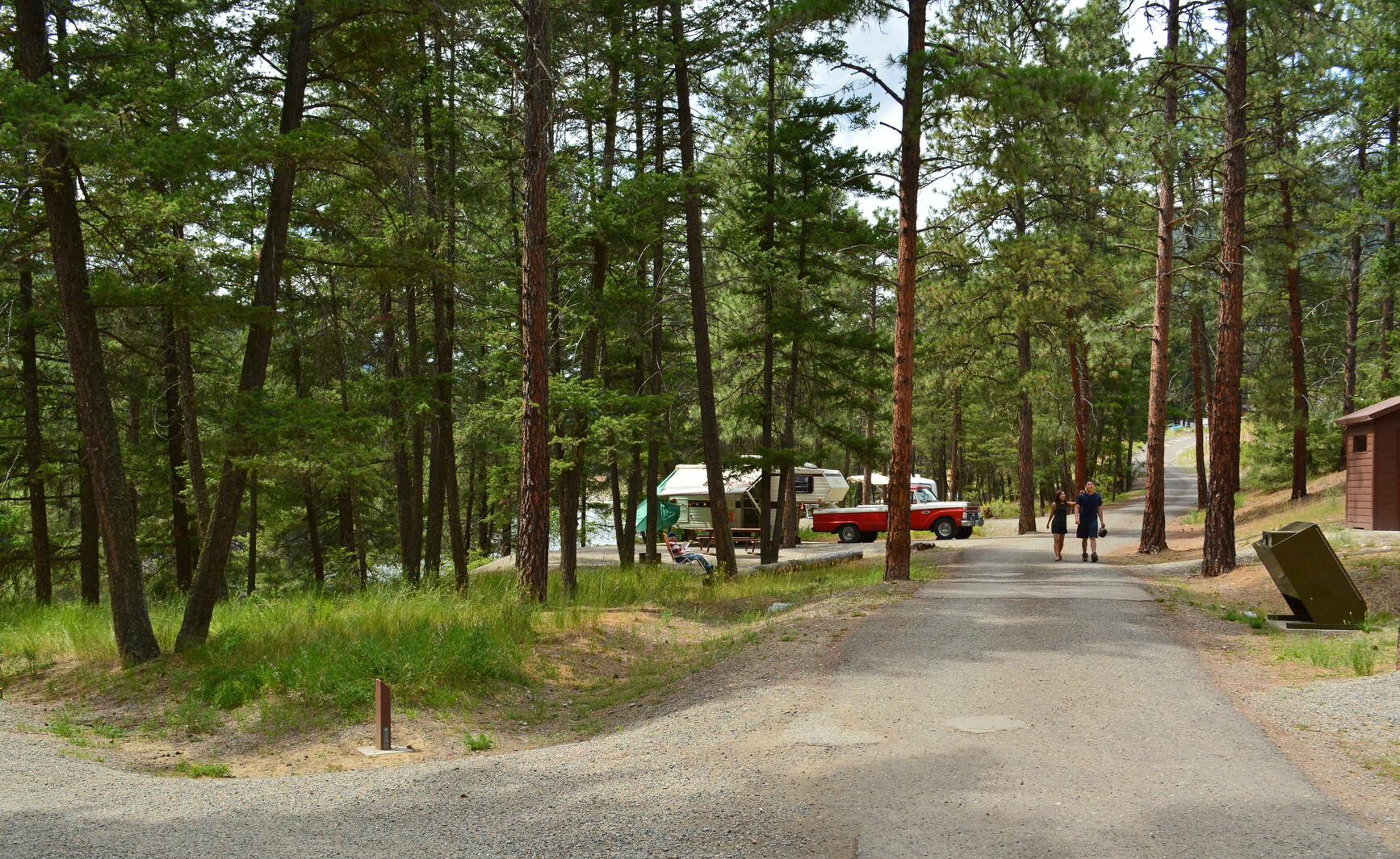 Two park visitors are walking along a road. A campsite with a truck and trailer are on the left. A park visitor is sitting on a chair and reading a book in the campsite. A garbage bin and outhouse are on the right. Trees and grass scattered throughout.