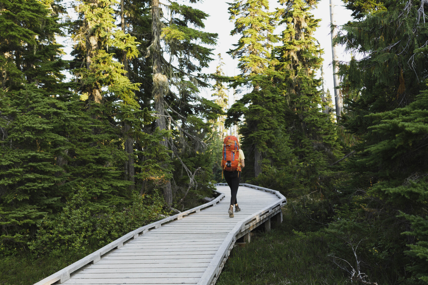 A park visitor hiking along a boardwalk in Strathcona Park.