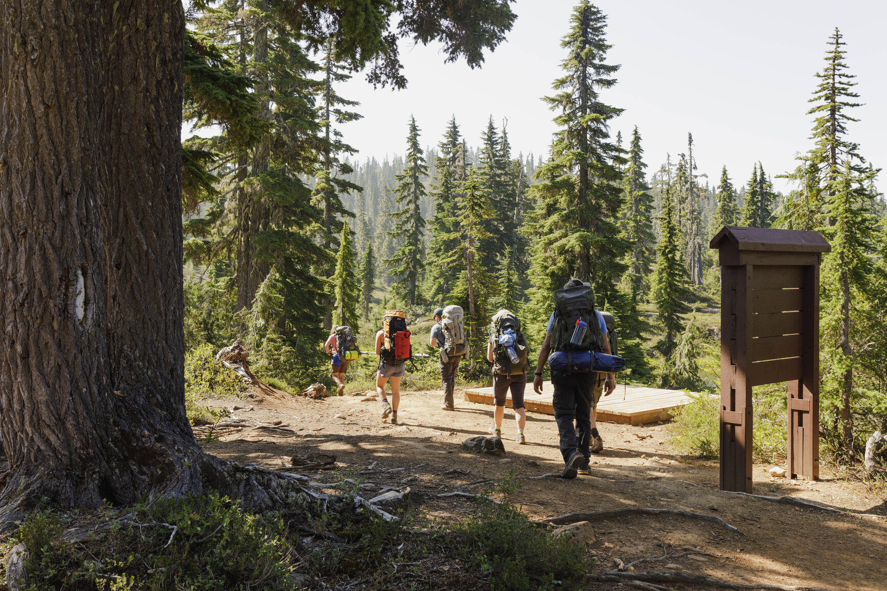 Group of hikers coming in to campsite in forested area