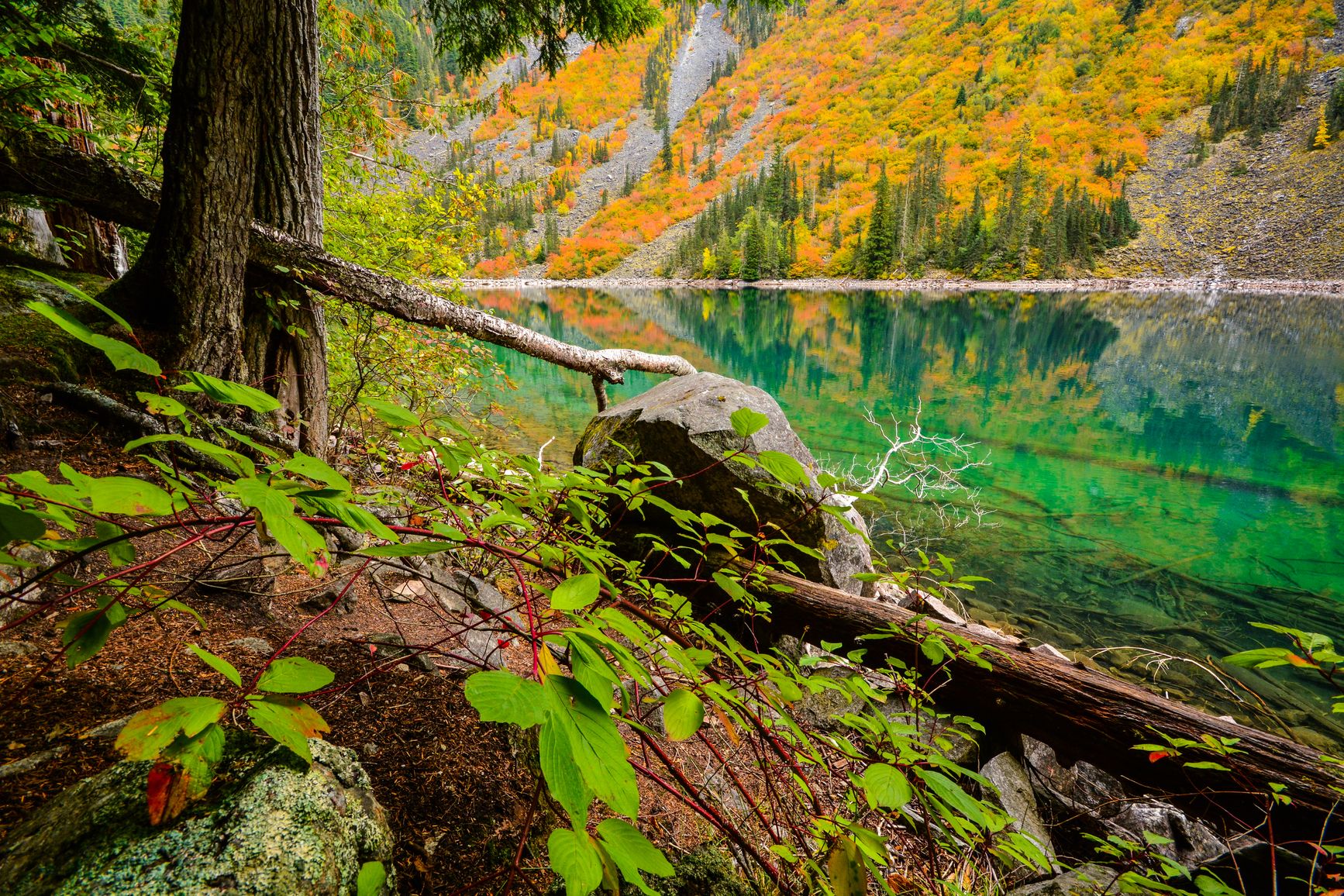 The water of Lindeman Lake in Sx̱ótsaqel/Chilliwack Lake Park is clear and emerald-colored.