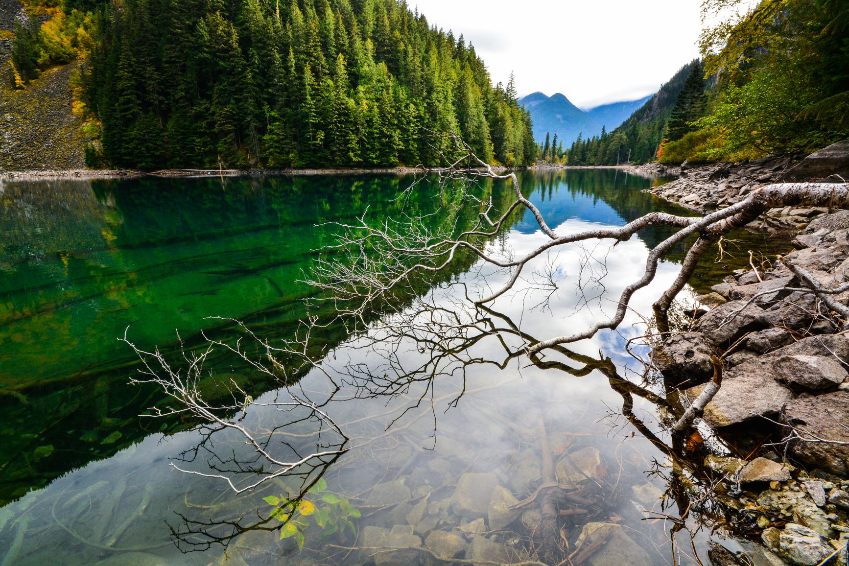Deadfall lines the rocky shore of Lindeman Lake, while clear emerald water reveals submerged logs on the bottom of the lake in Sx̱ótsaqel/Chilliwack Lake Park.