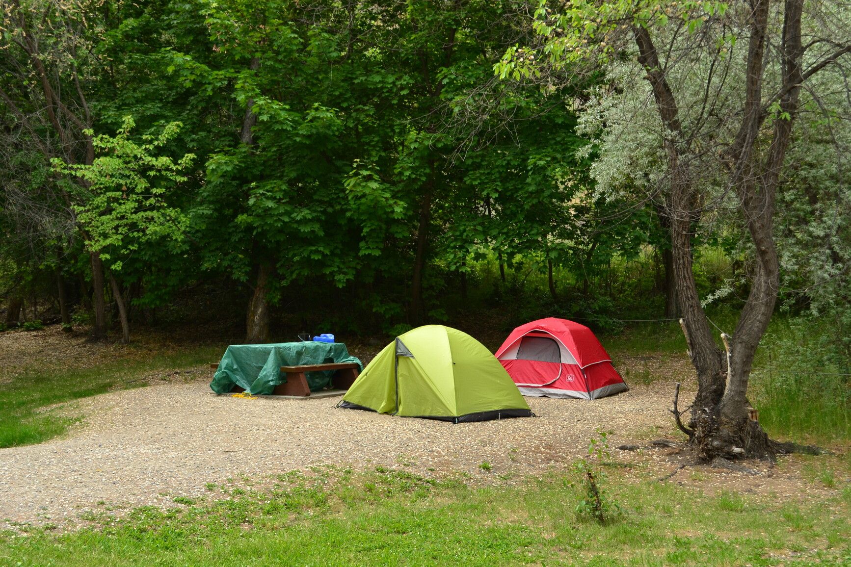 sx̌ʷəx̌ʷnitkʷ Park Provincial Park campsite.