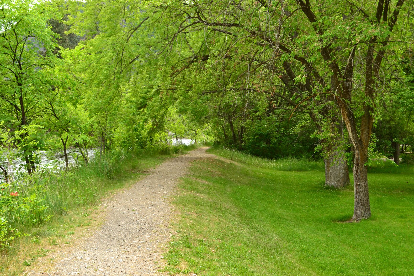 A trail along Okanagan river in sx̌ʷəx̌ʷnitkʷ Park.