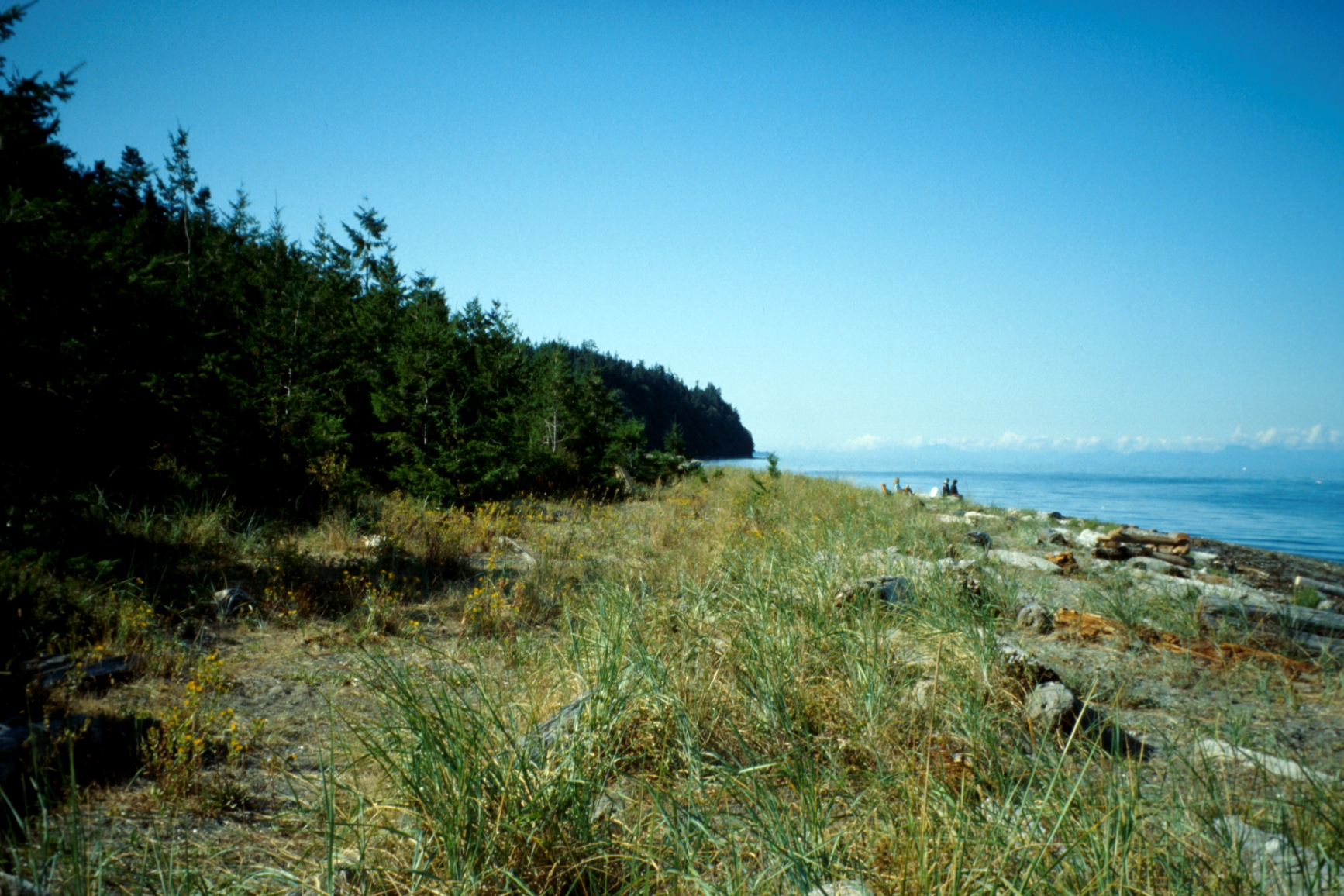 View of seaside landscape